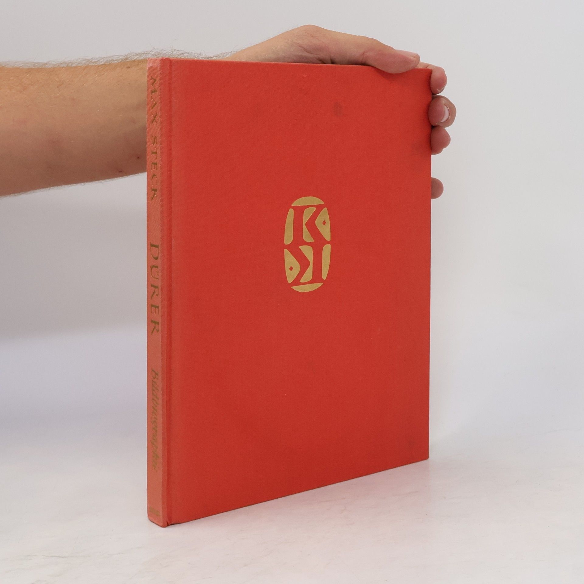 Max Steck Dürer. Eine Bildbiographie