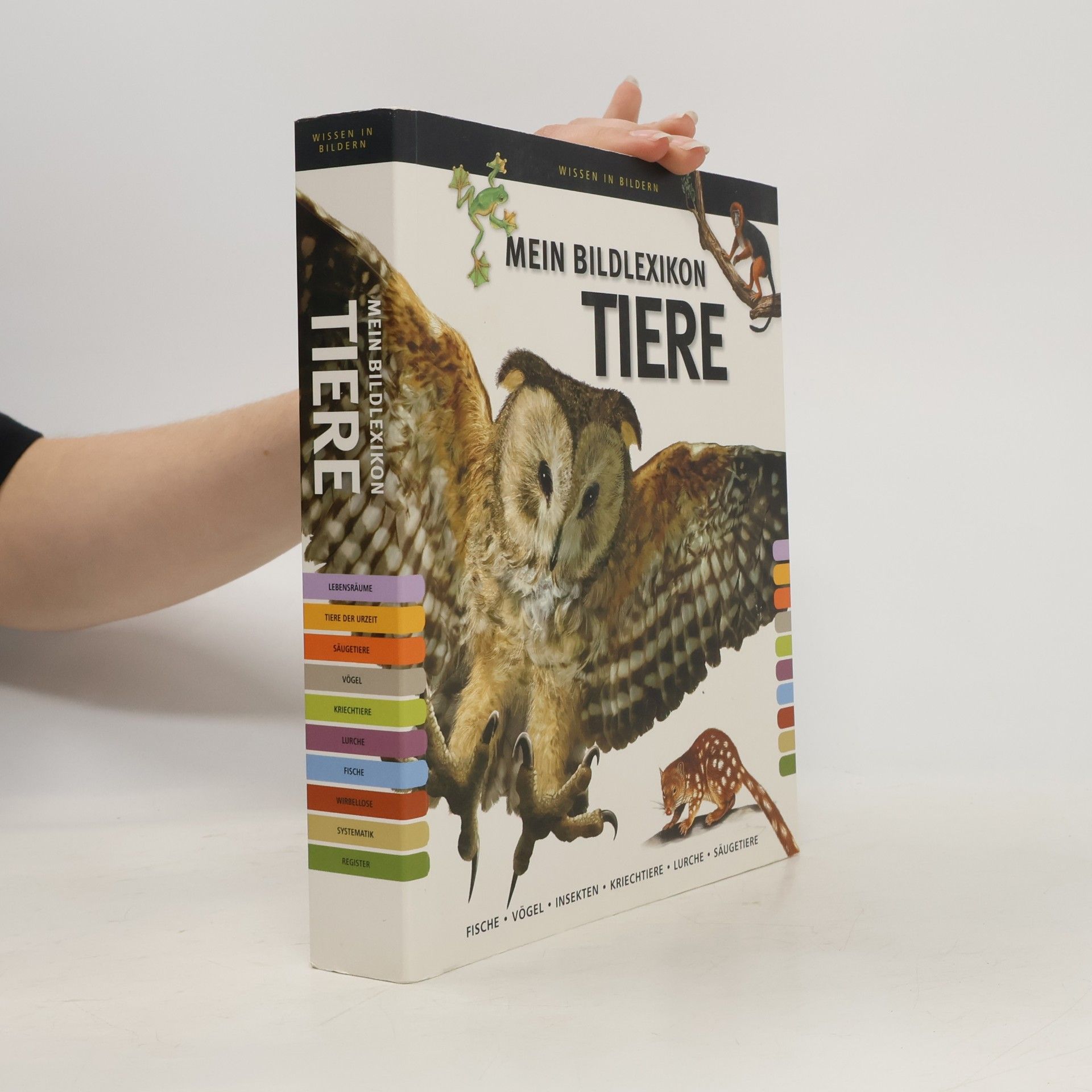 Autorenkollektiv Mein Bildlexikon Tiere