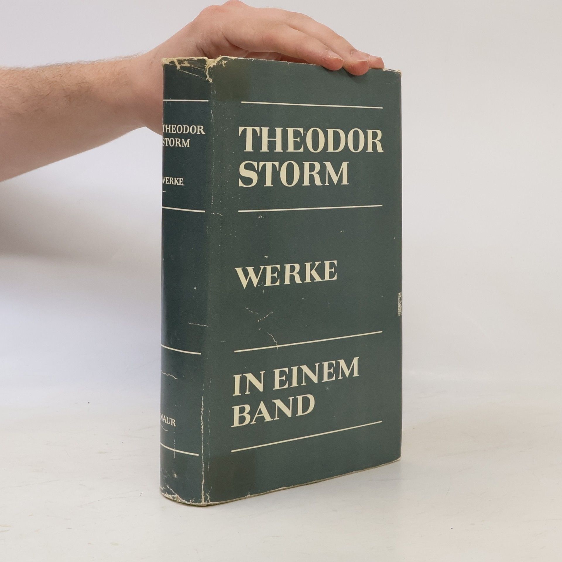 Theodor Storm Werke in einem Band