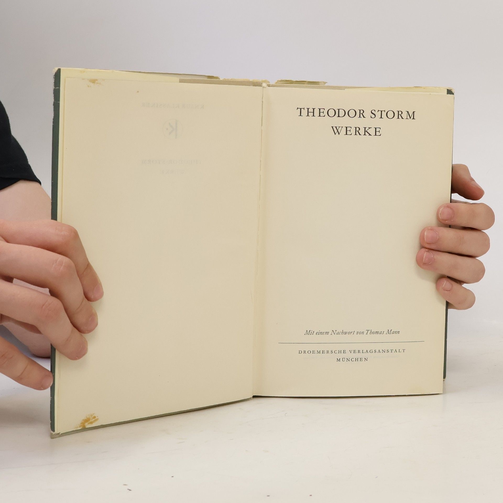 Theodor Storm Werke in einem Band