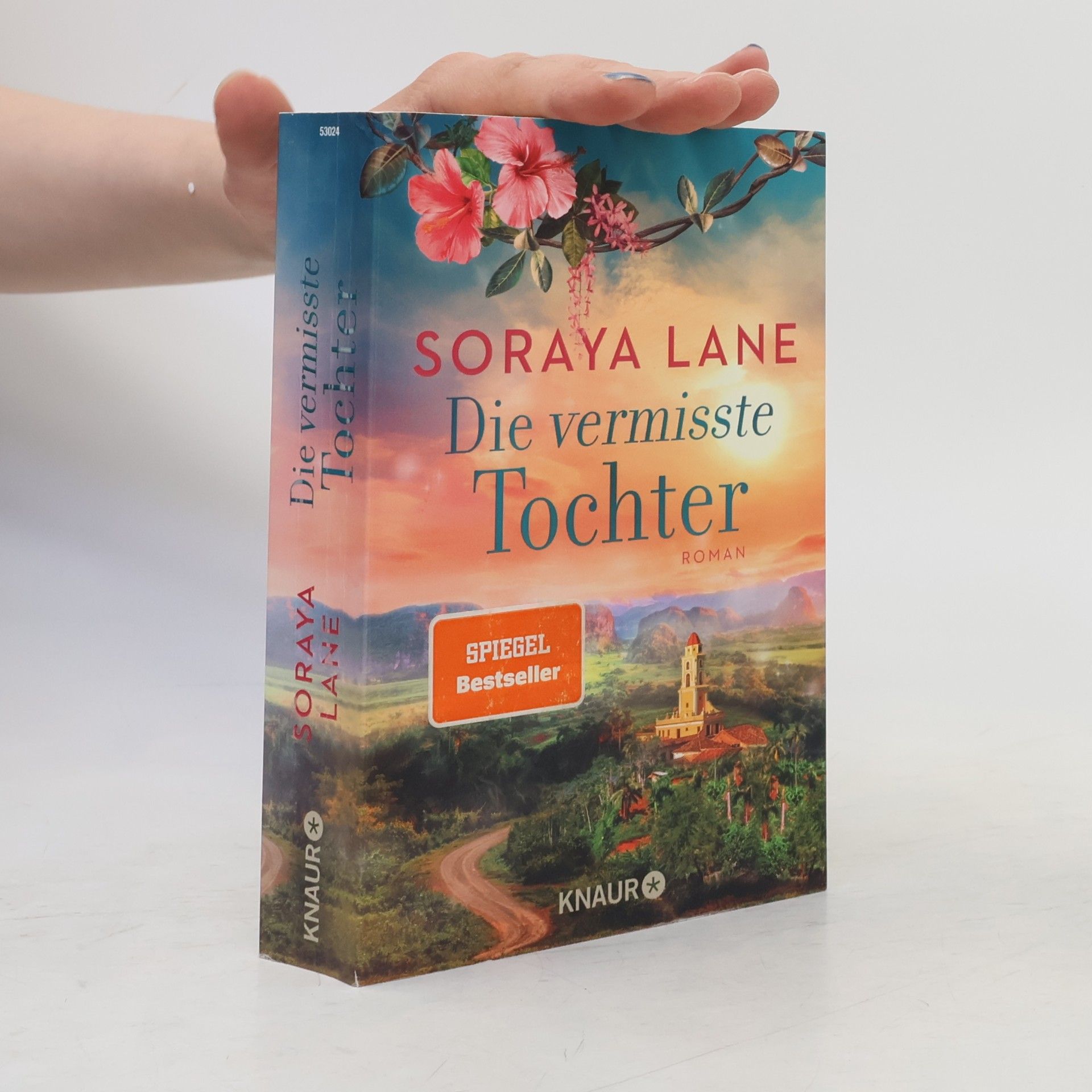 Soraya M. Lane Die vermisste Tochter