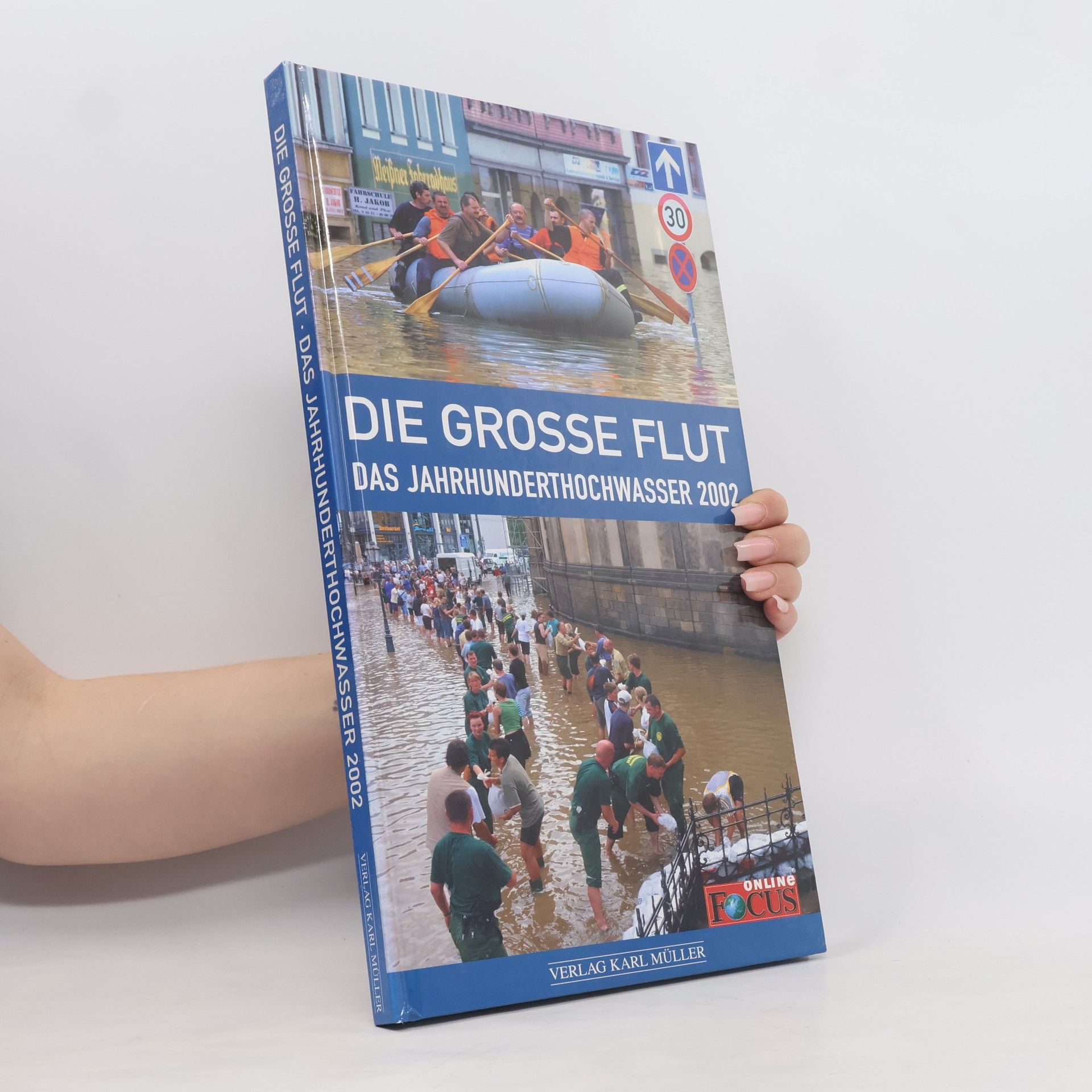Various authors Die große Flut