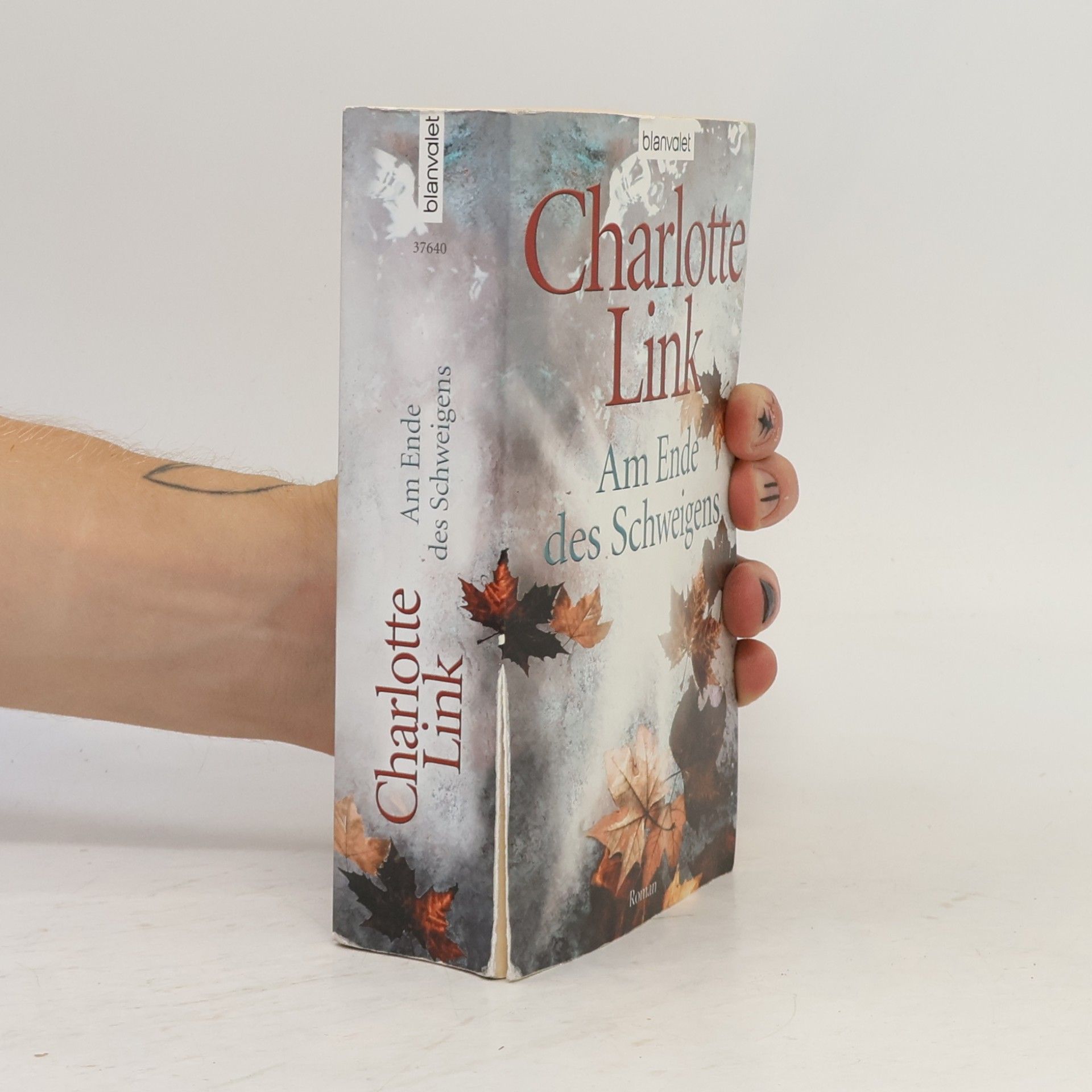 Charlotte Link Am Ende des Schweigens