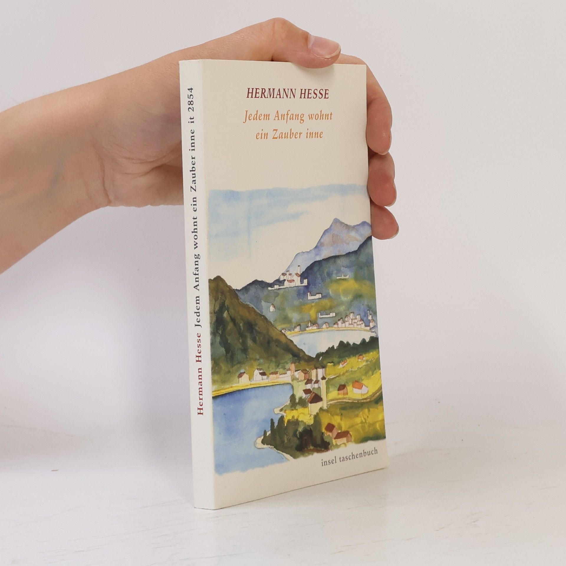 Hermann Hesse Jedem Anfang wohnt ein Zauber inne