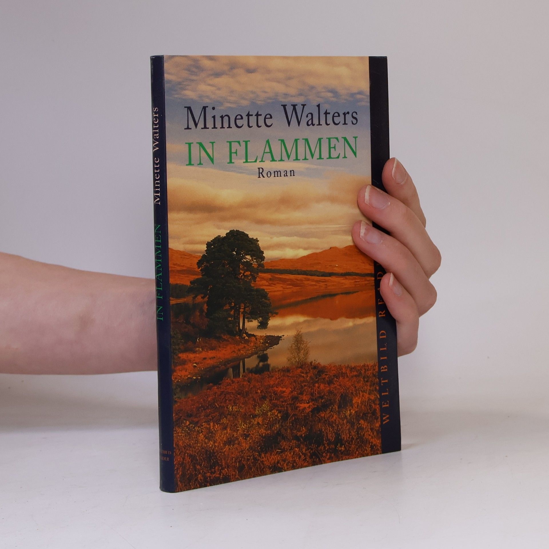 Minette Walter In Flammen