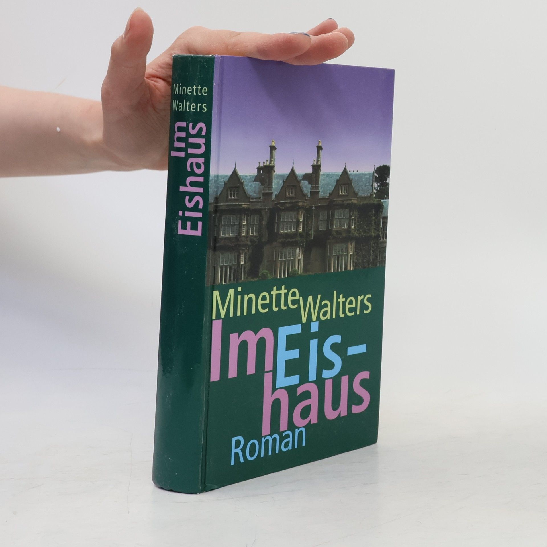 Minette Walter Im Eishaus