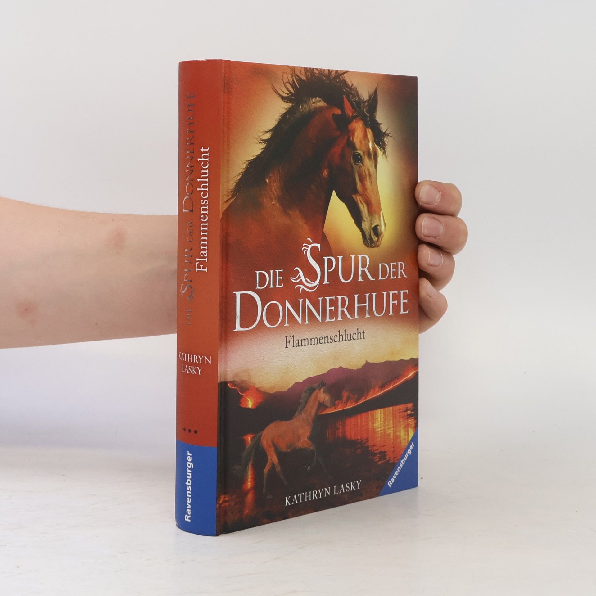 Die Spur der Donnerhufe. Band 1: Flammenschlucht.