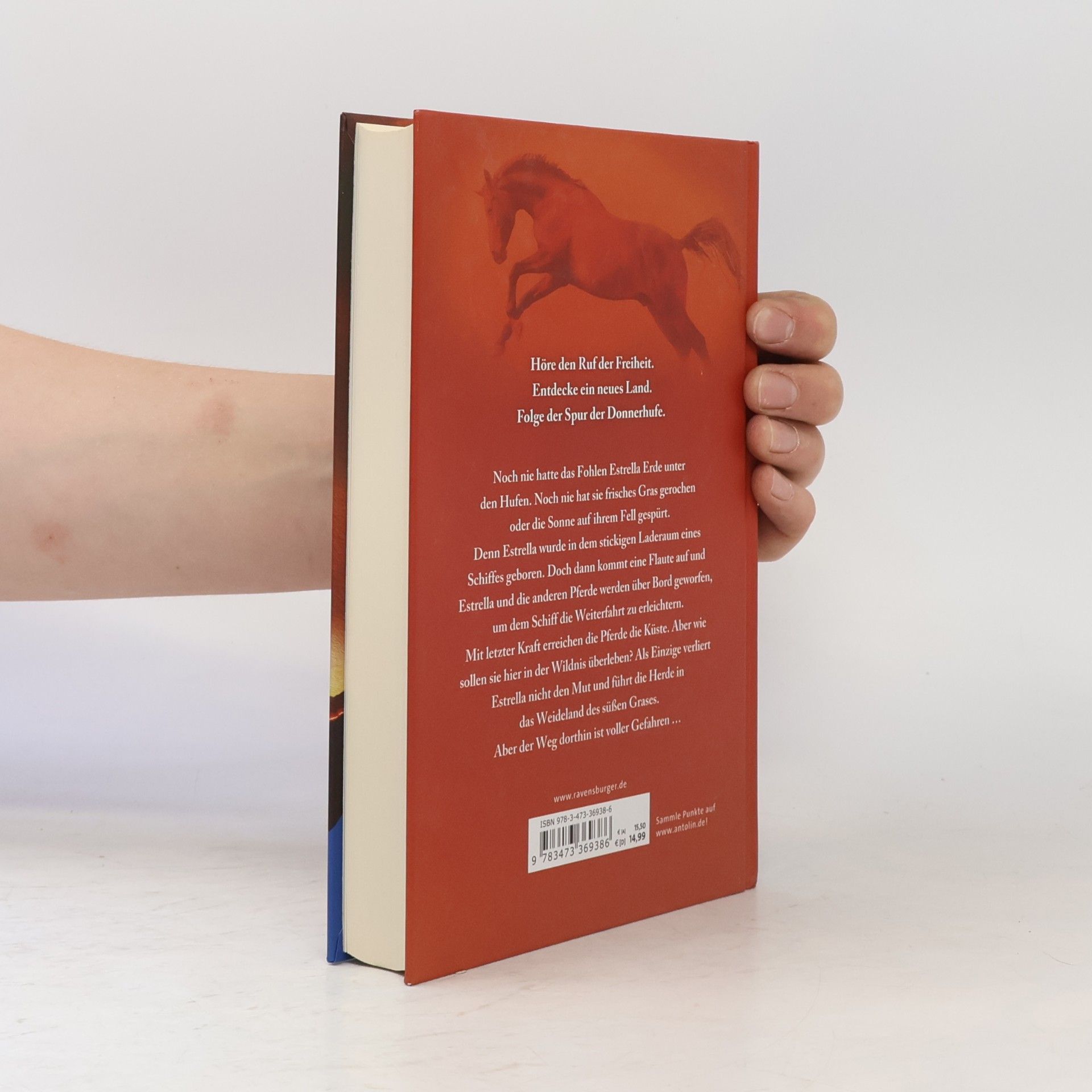 Kathryn Lasky Die Spur der Donnerhufe. Band 1: Flammenschlucht.