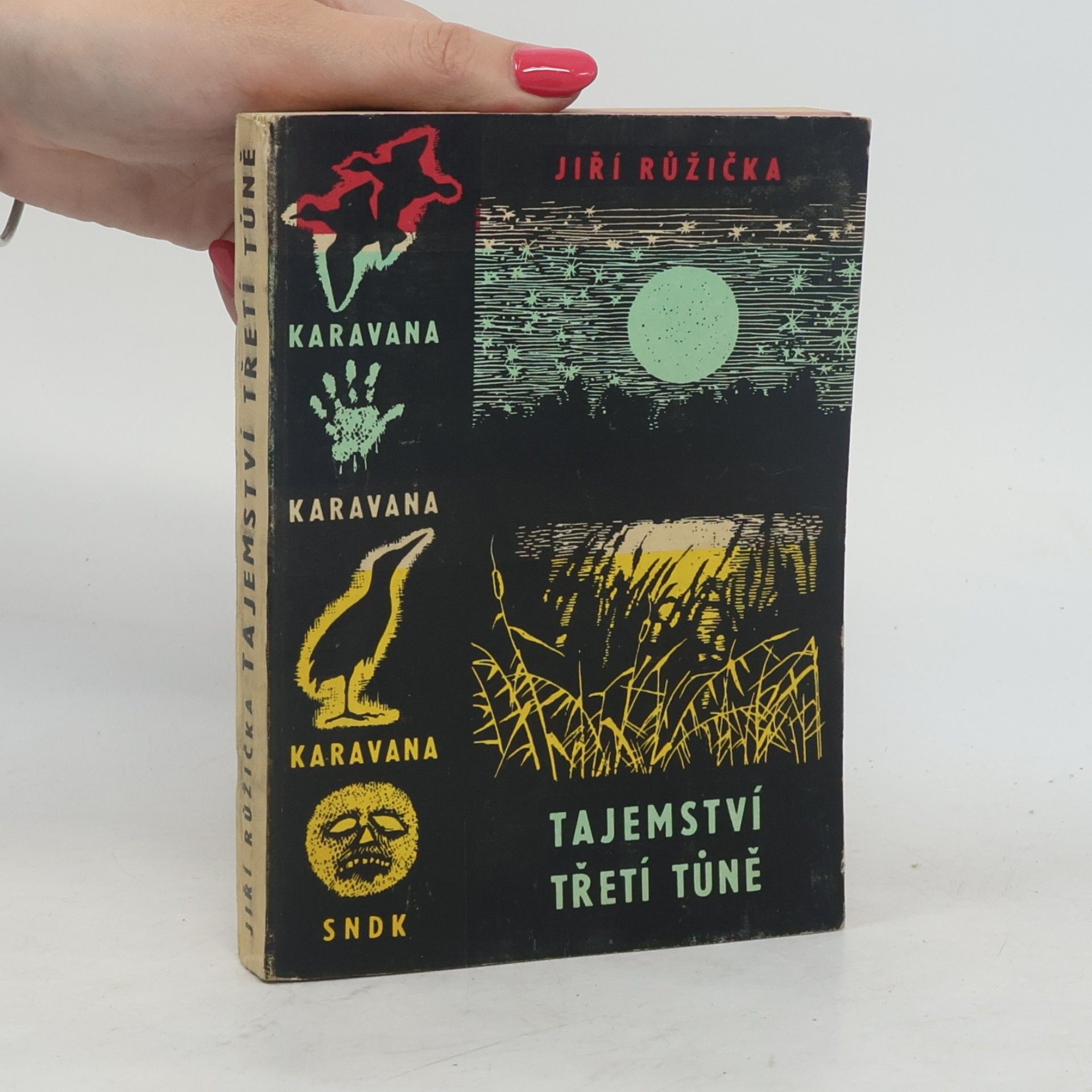 Jiří Růžička Tajemství třetí tůně