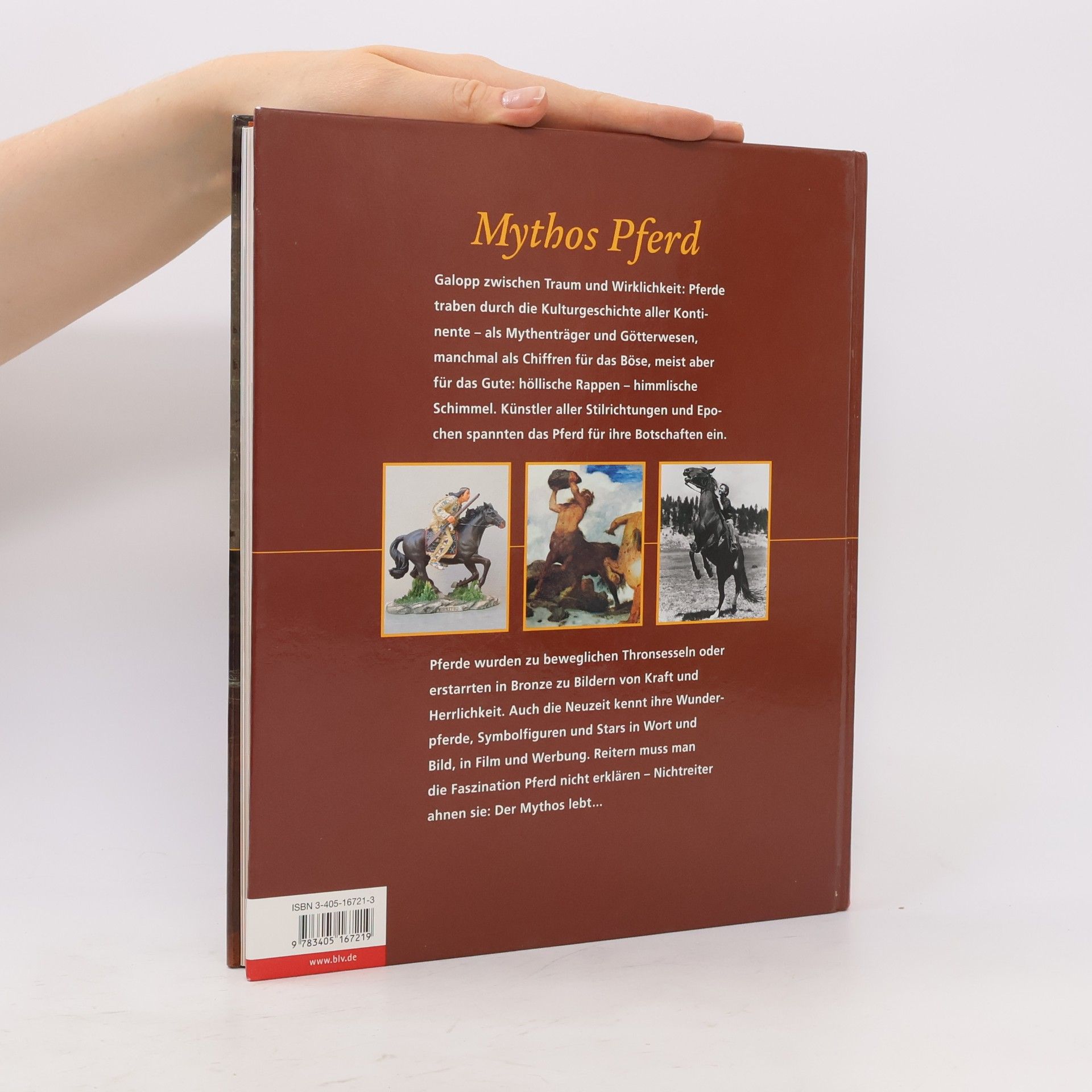 Veronika Straass Mythos Pferd
