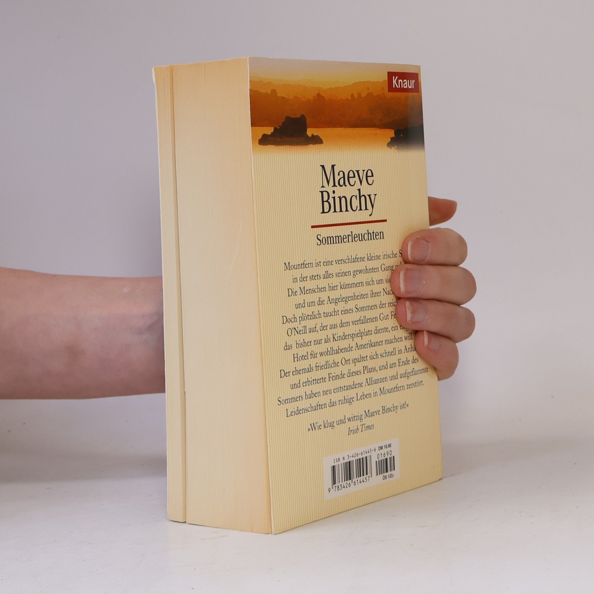 Maeve Binchy Sommerleuchten