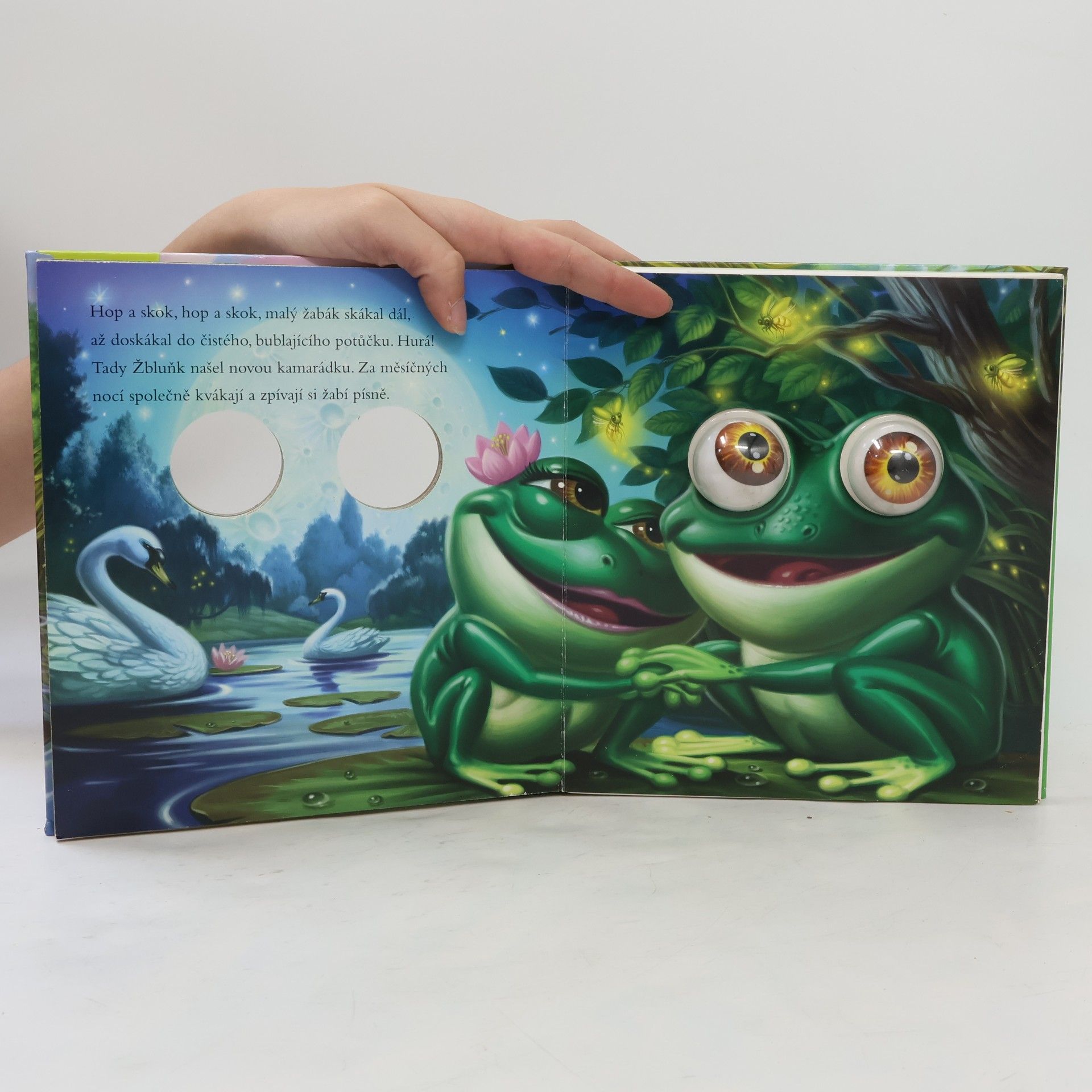 Autores varios Žabák Žbluňk : pohyblivá očka
