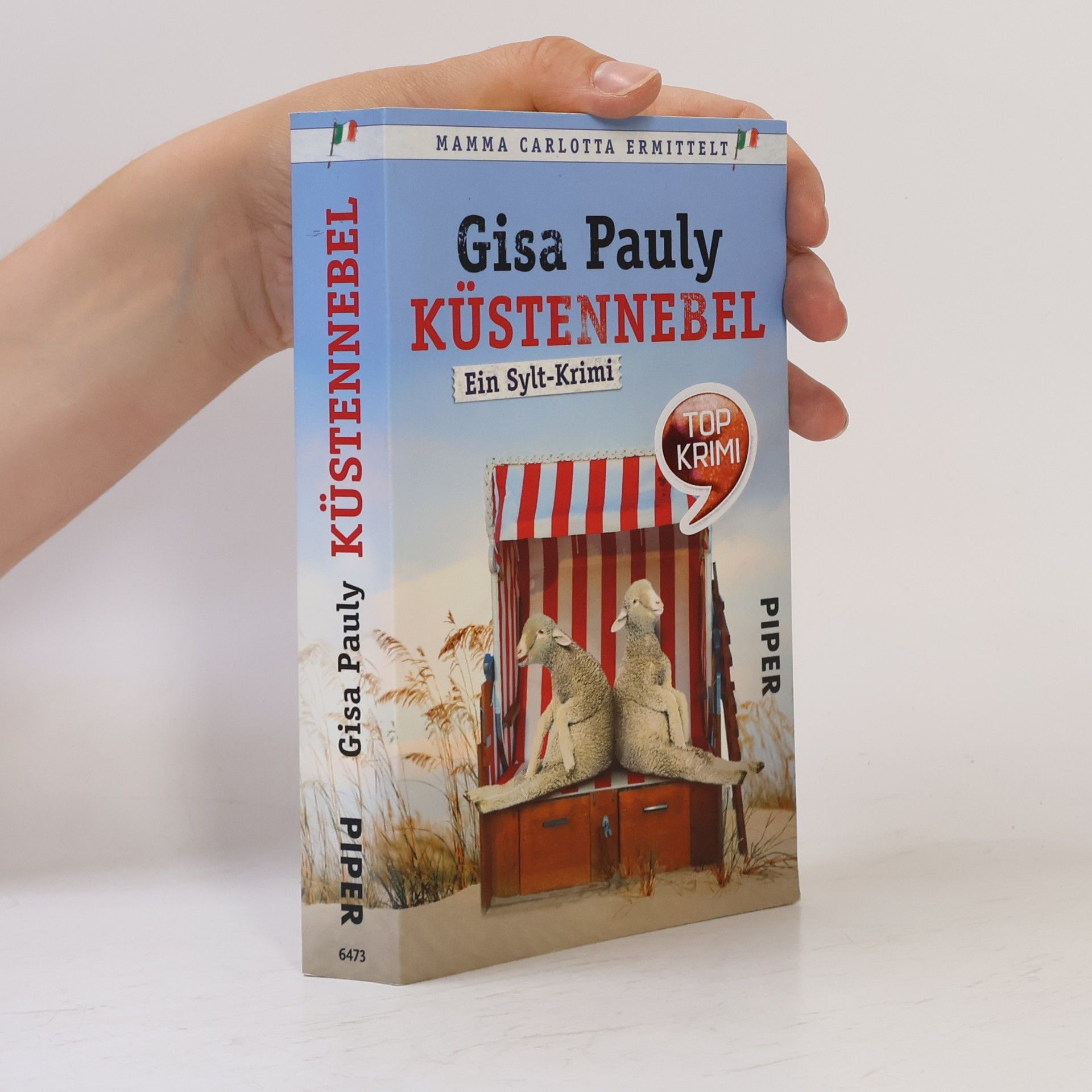Gisa Pauly Küstennebel