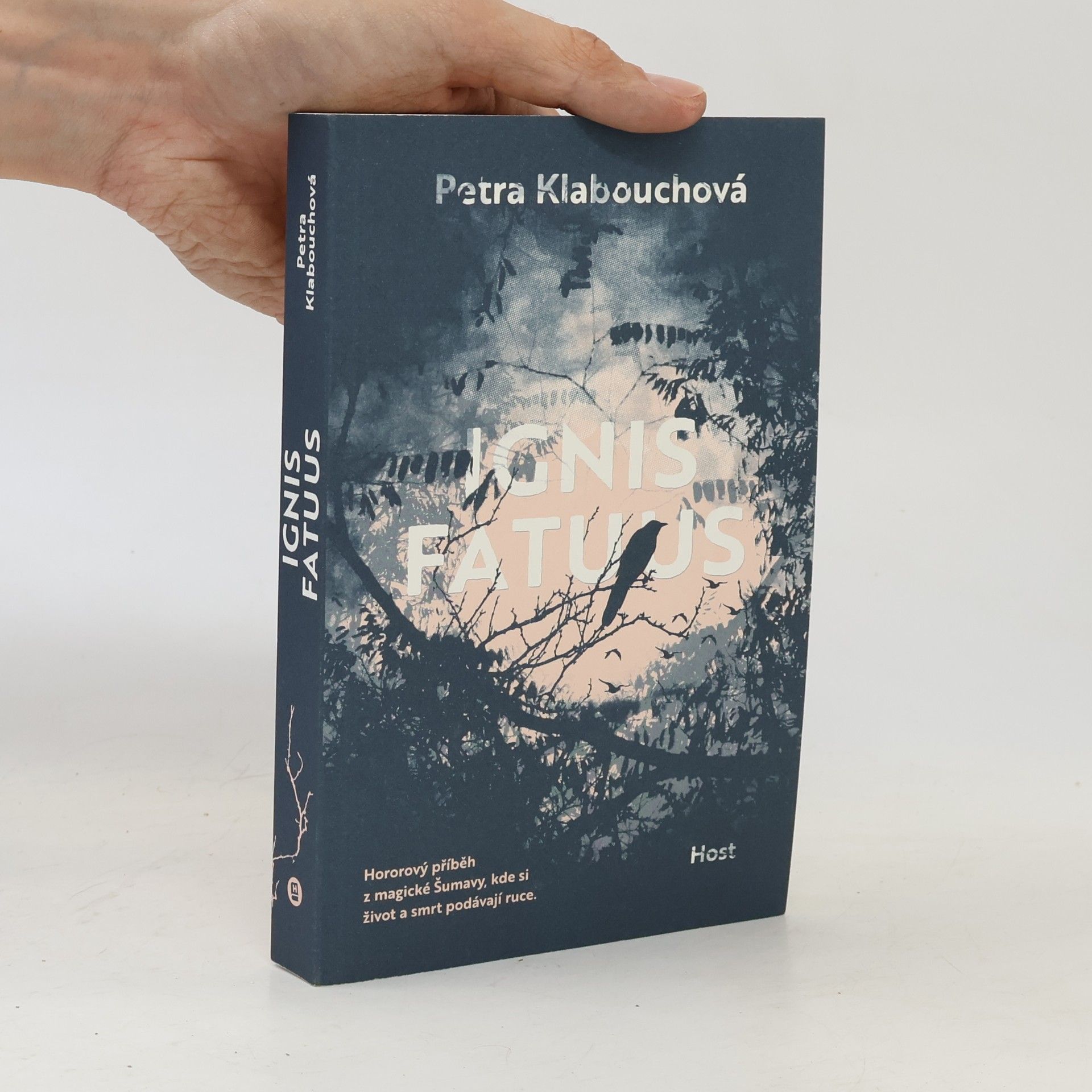 Petra Klabouchová Ignis fatuus