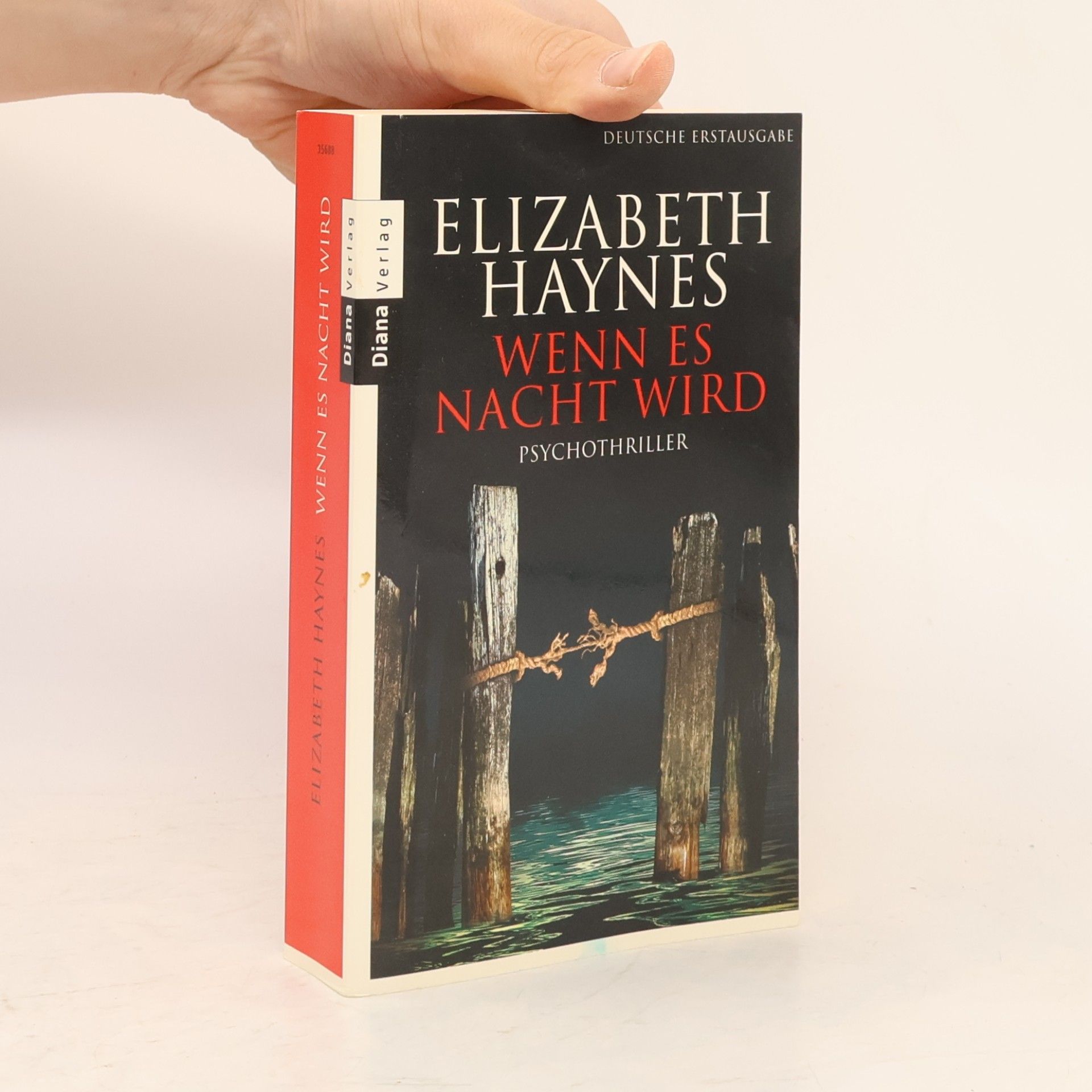 Elizabeth Haynes Wenn es Nacht wird