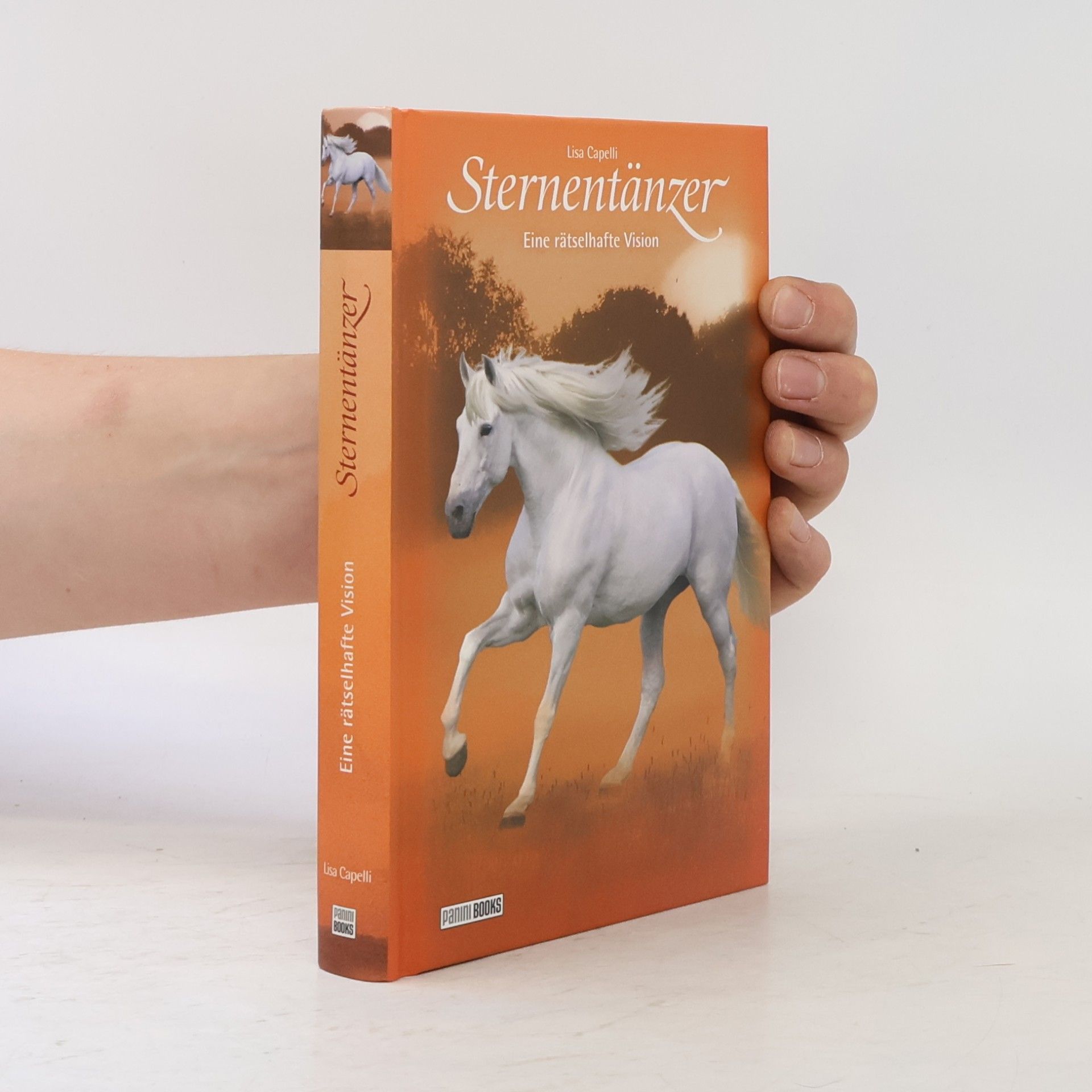 Sternentänzer - Eine rätselhafte Vision