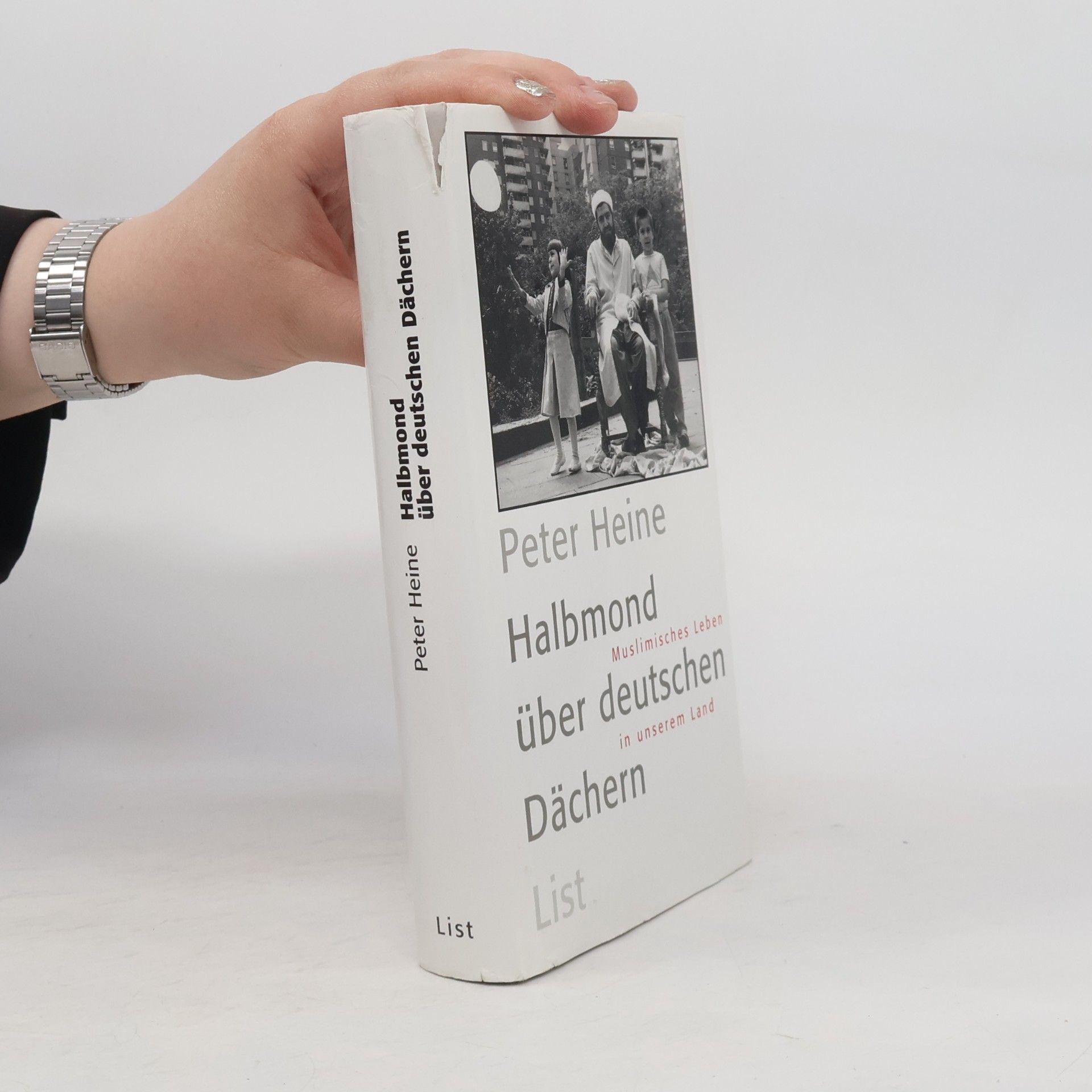 Peter Heine Halbmond über deutschen Dächern