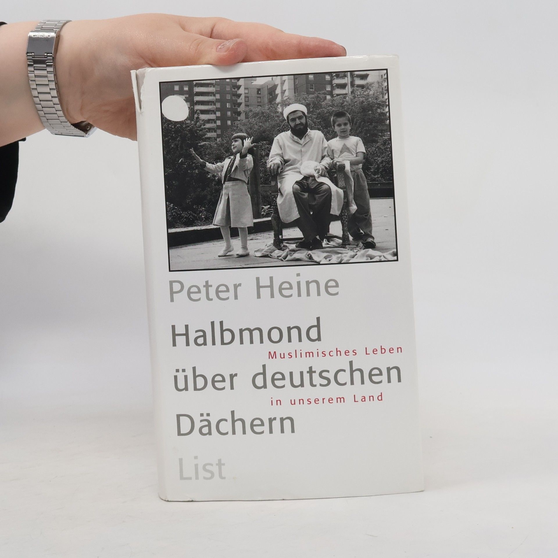 Peter Heine Halbmond über deutschen Dächern