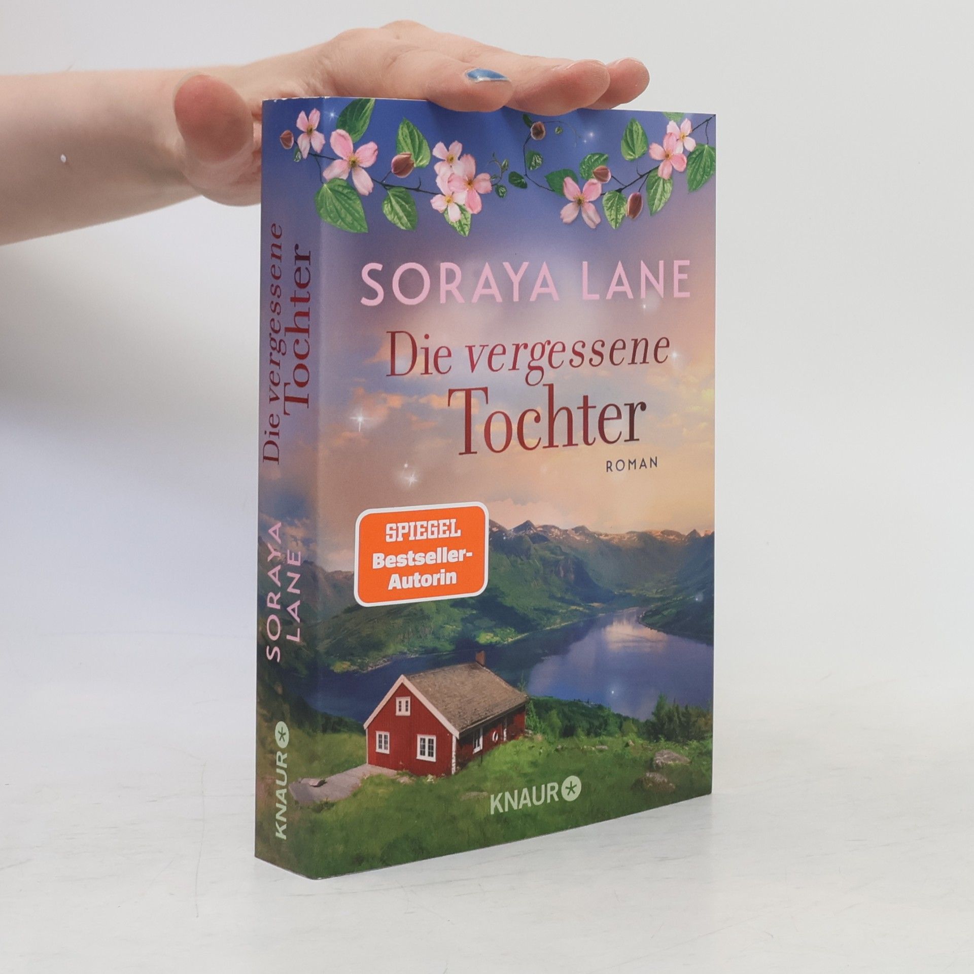 Soraya M. Lane Die vergessene Tochter