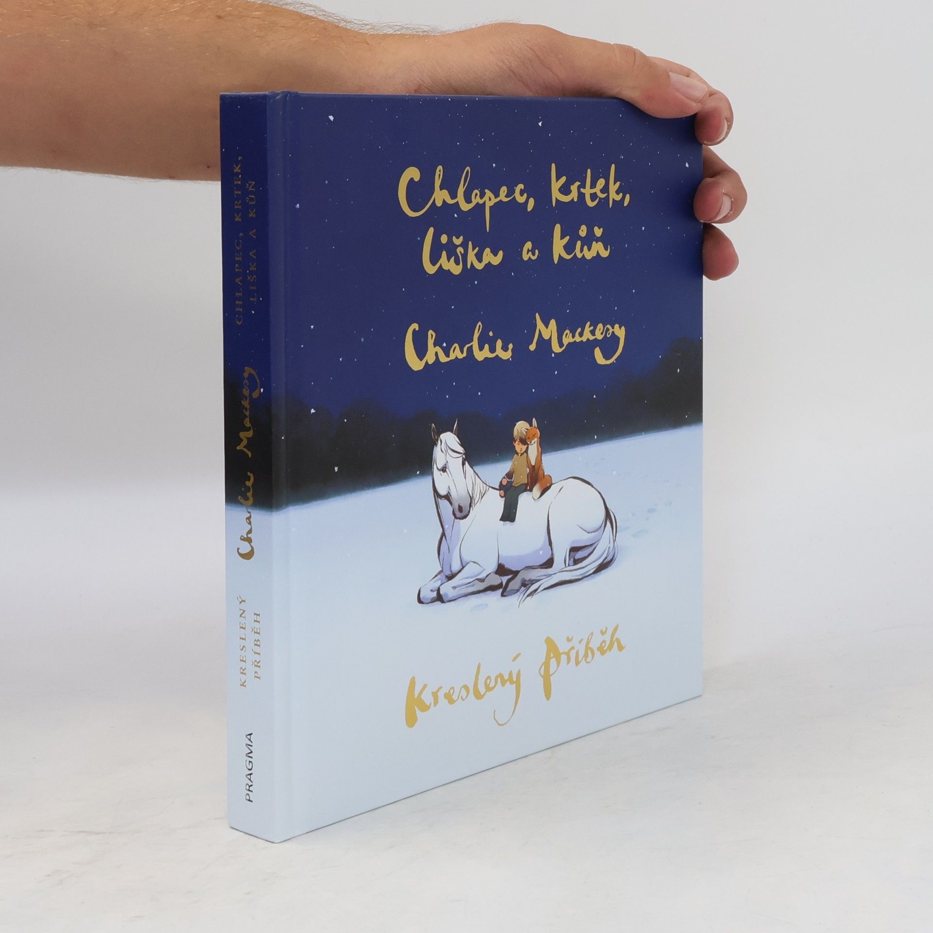 Charlie Mackesy Chlapec, krtek, liška a kůň : kreslený příběh