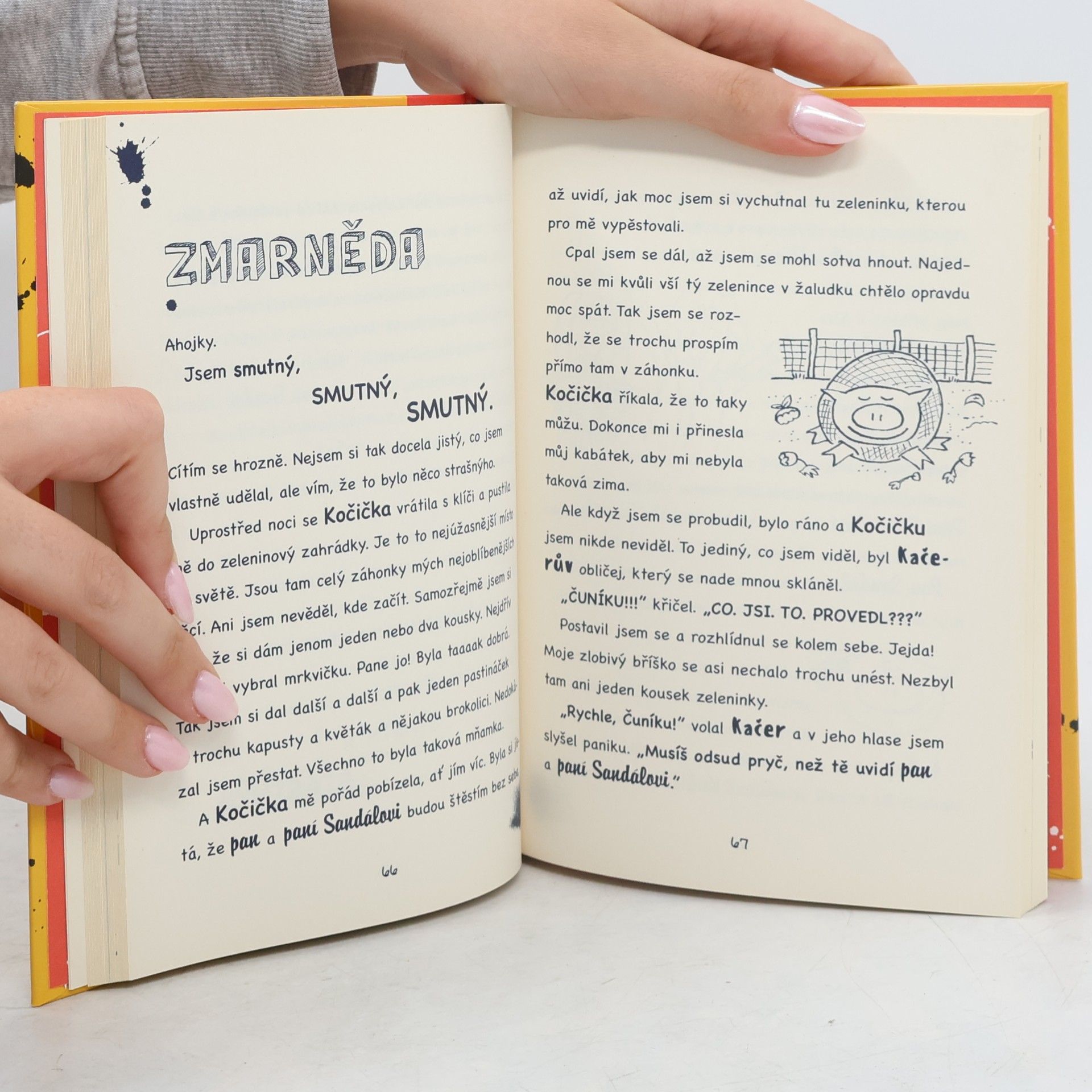 Emer Stamp Čuníkovo úžasné dobrodružství