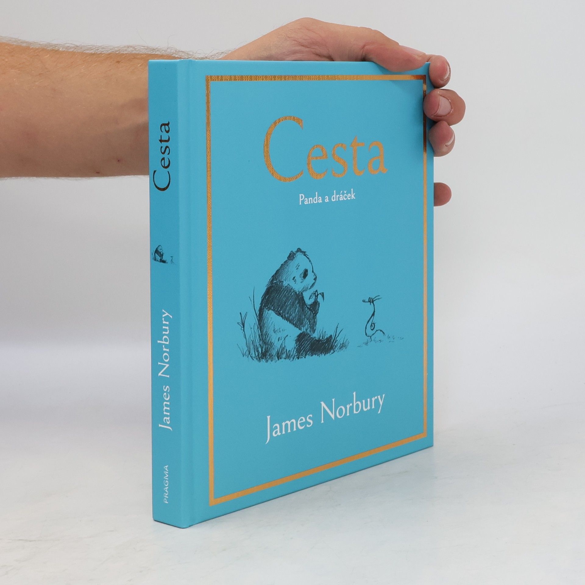 James Norbury Cesta. Panda a dráček