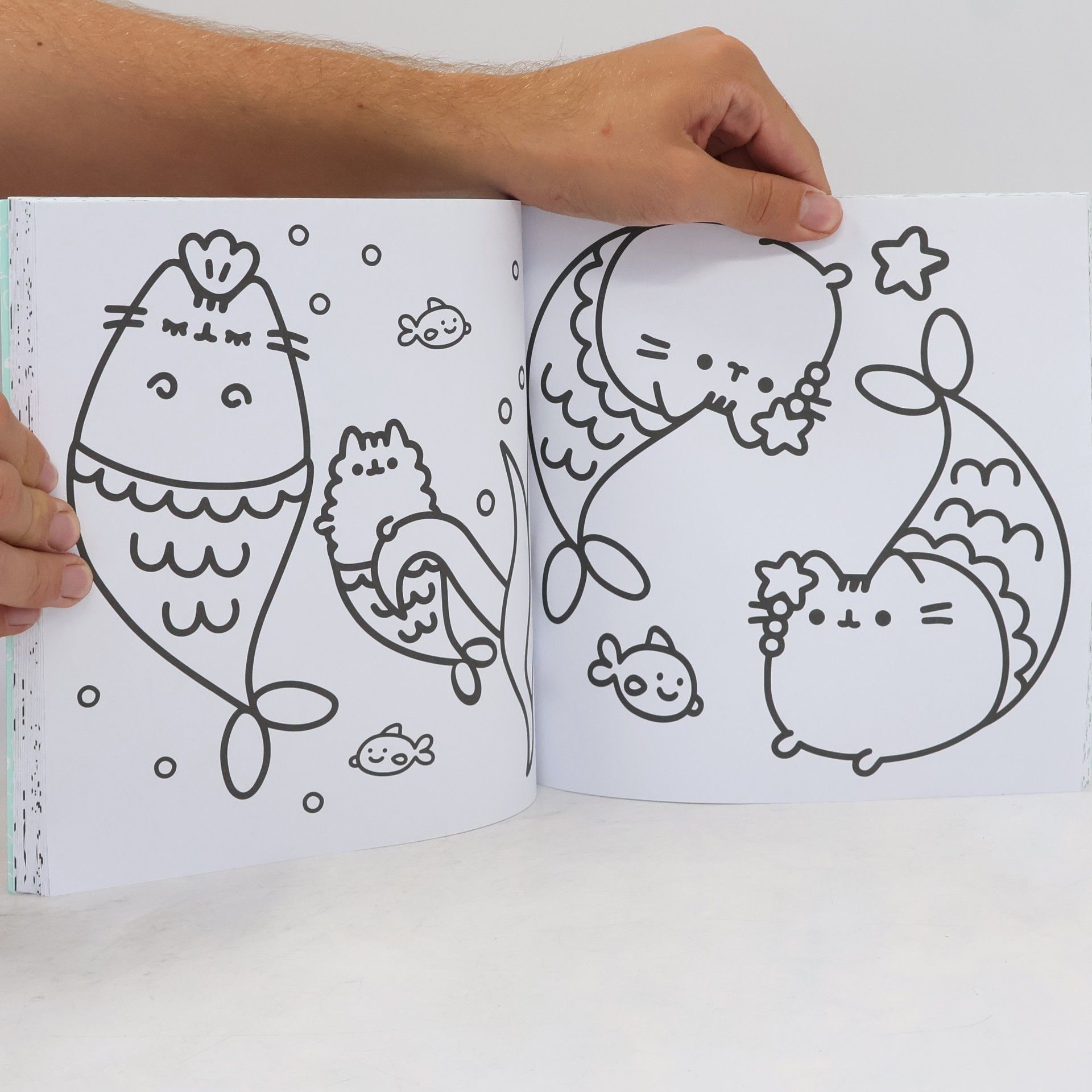 Collectif d'auteurs Pusheen omalovánky