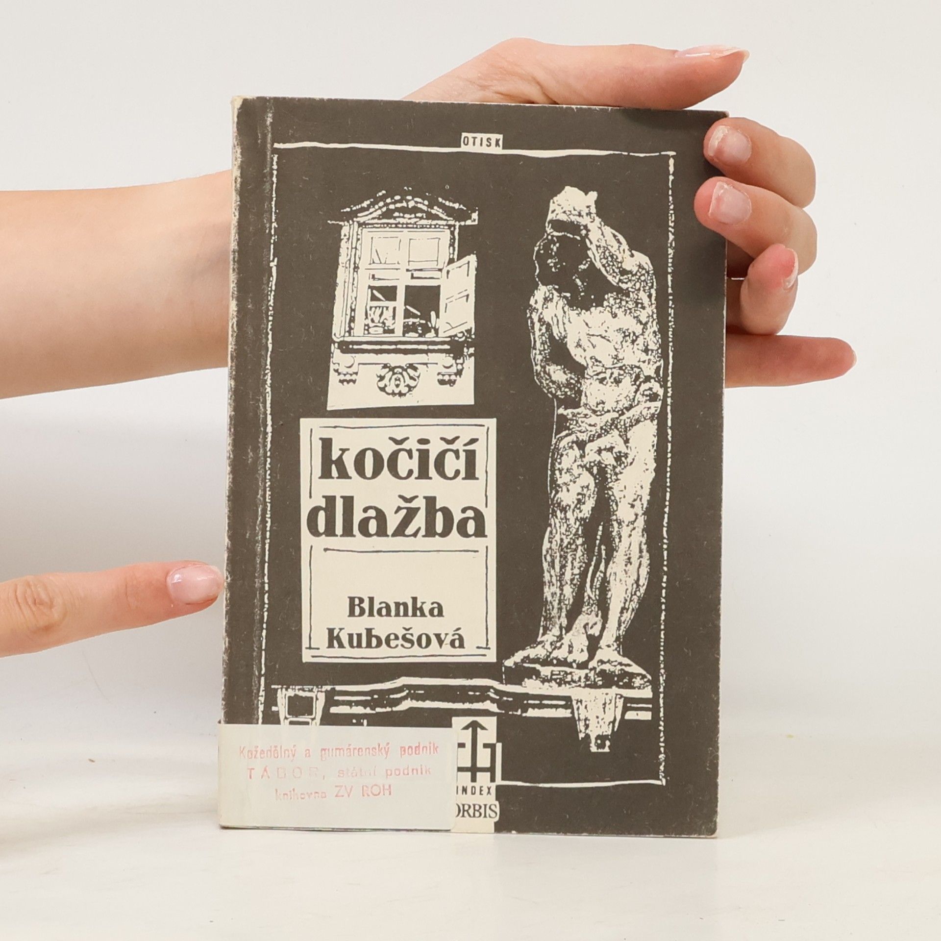 Blanka Kubešová Kočičí dlažba