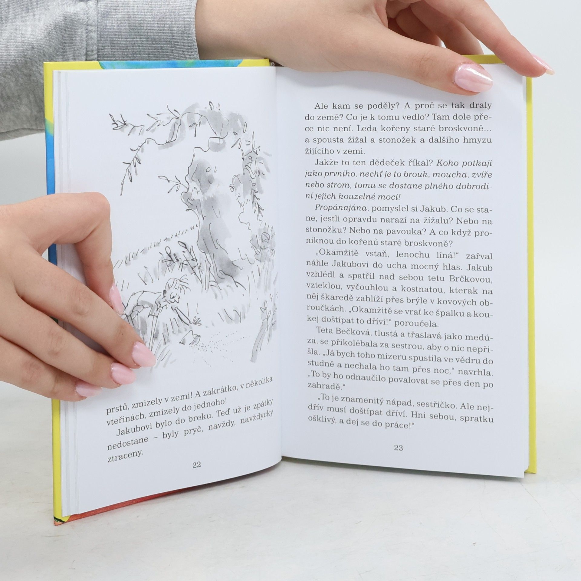 Roald Dahl Jakub a obří broskev