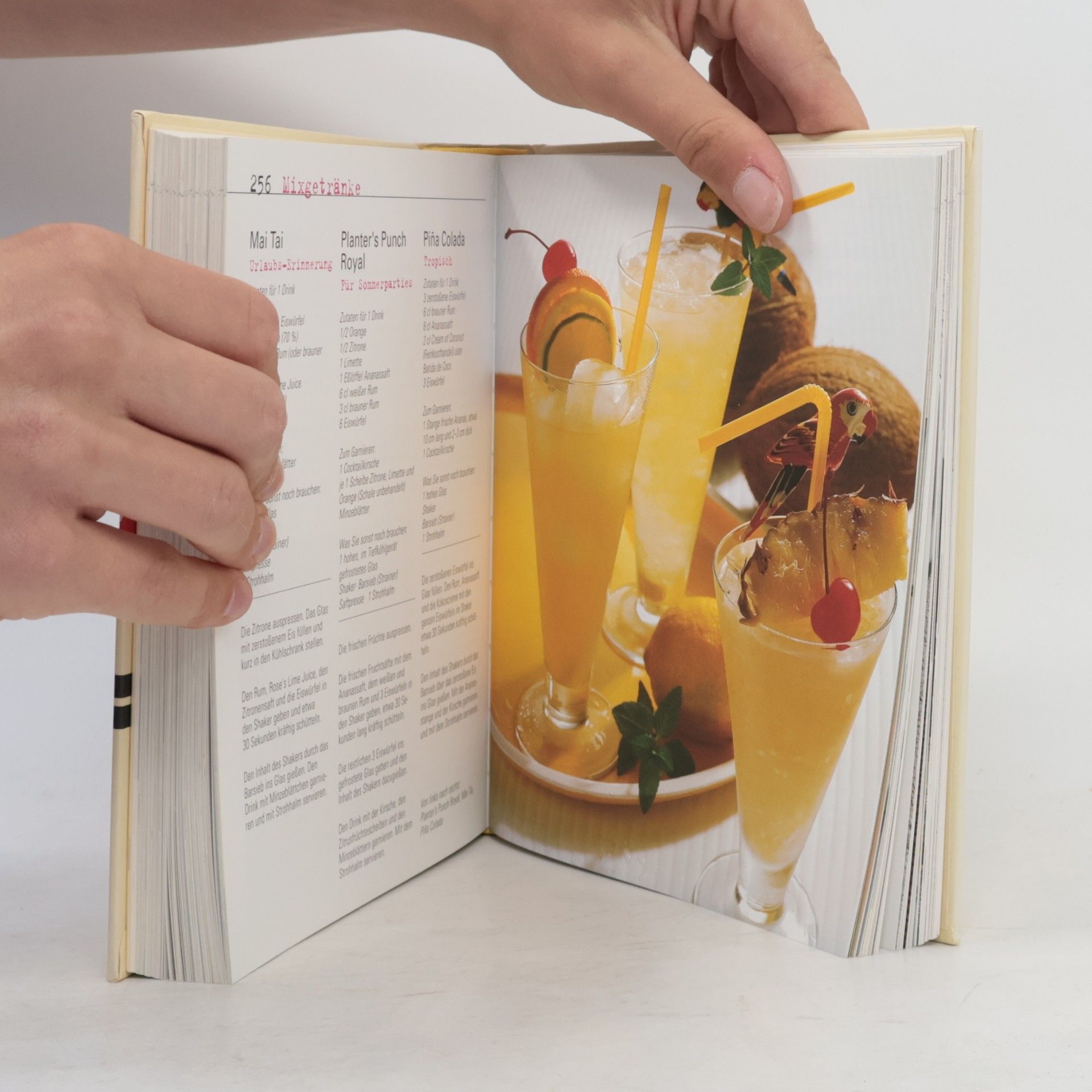 Autorenkollektiv Kochbuch. Das Kochbuch für junge Leute