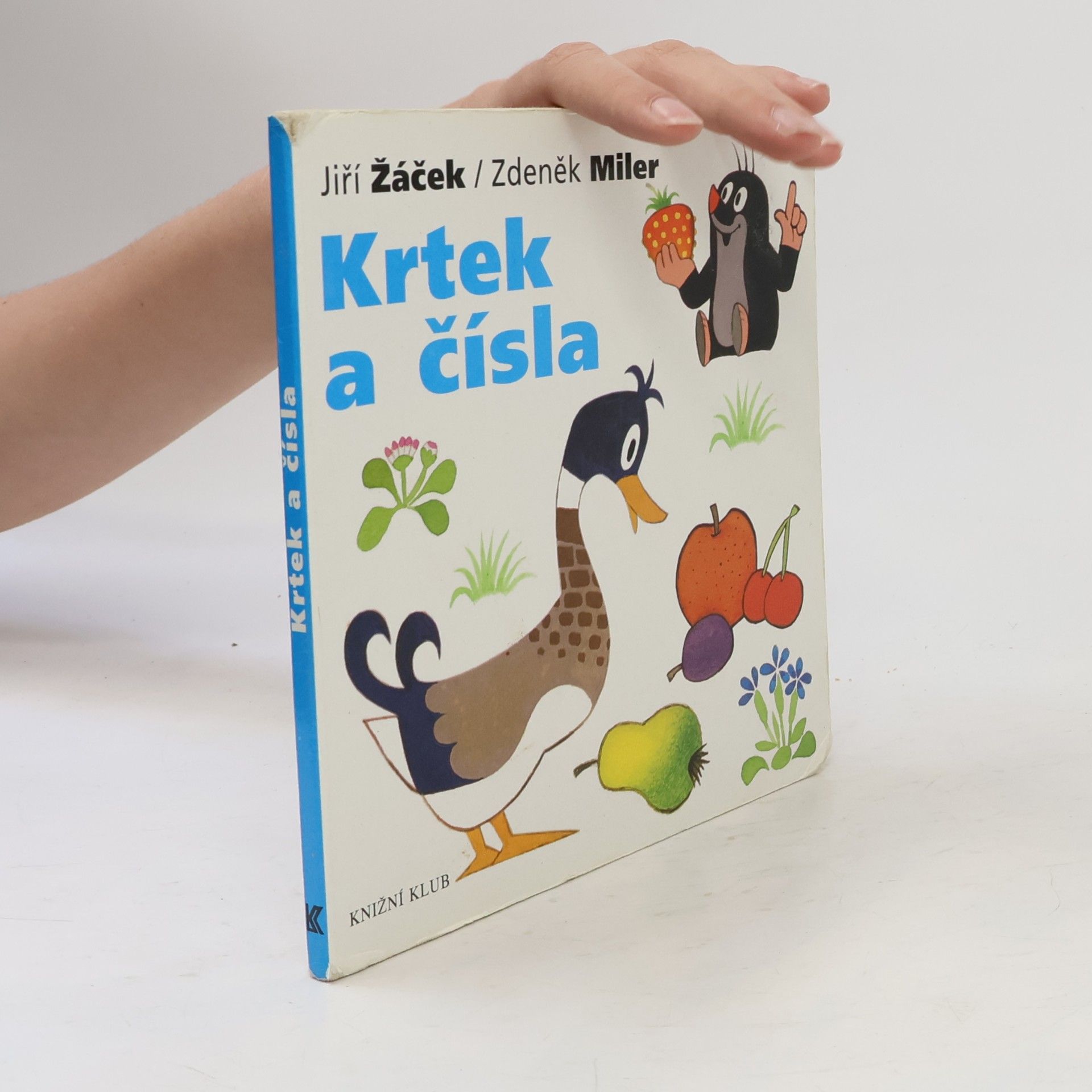 Krtek a čísla