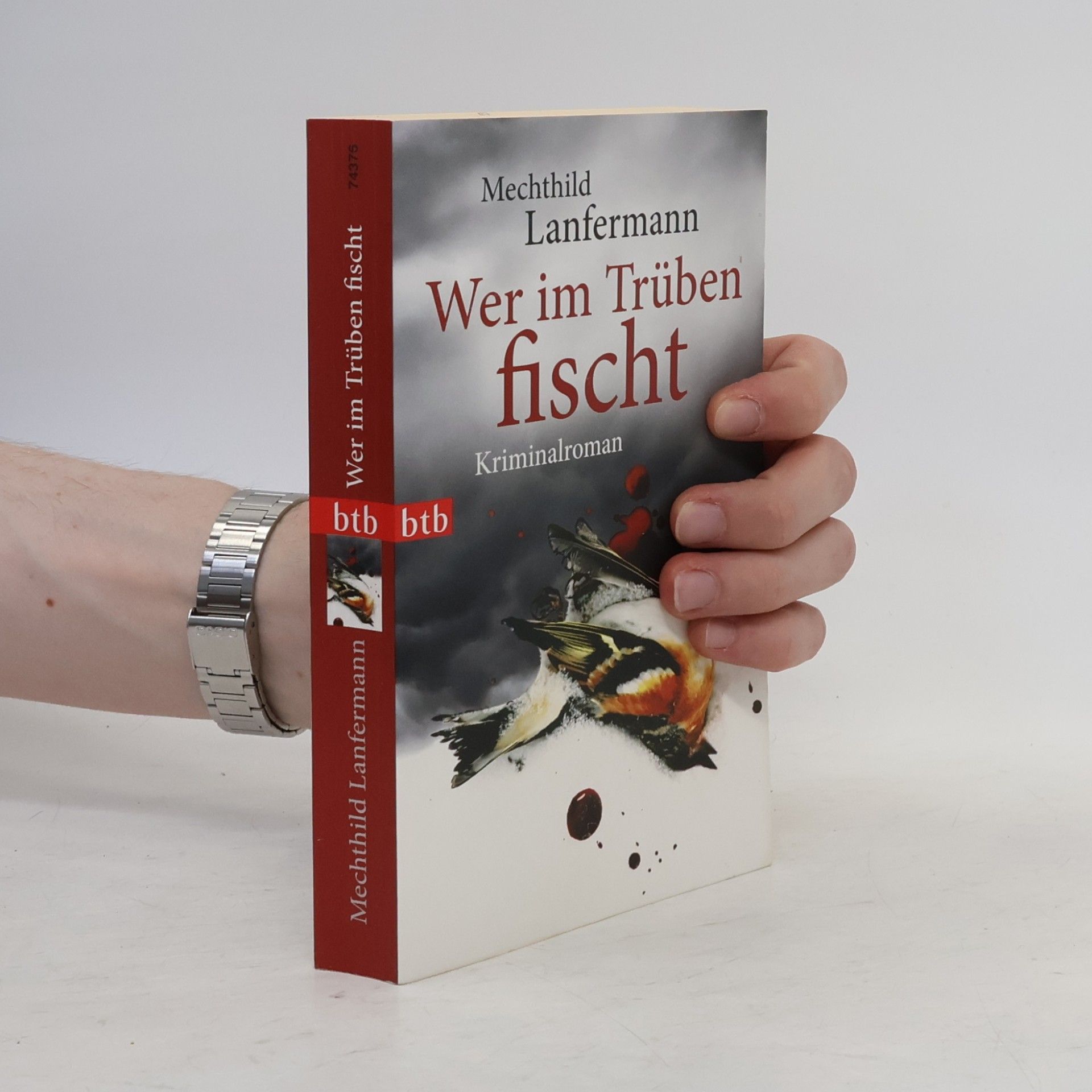Mechthild Lanfermann Wer im Trüben fischt
