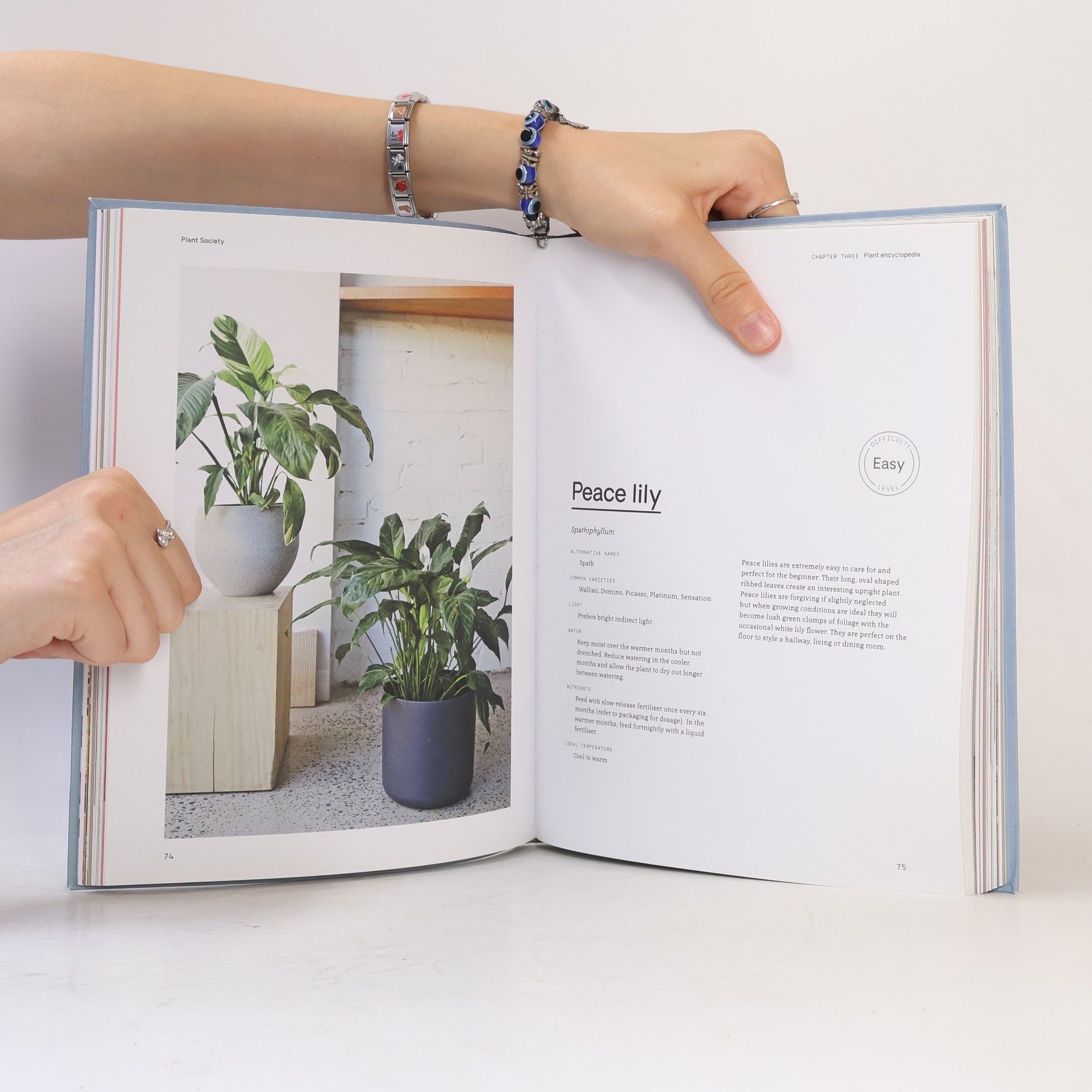 Jason Chongue Plant Society