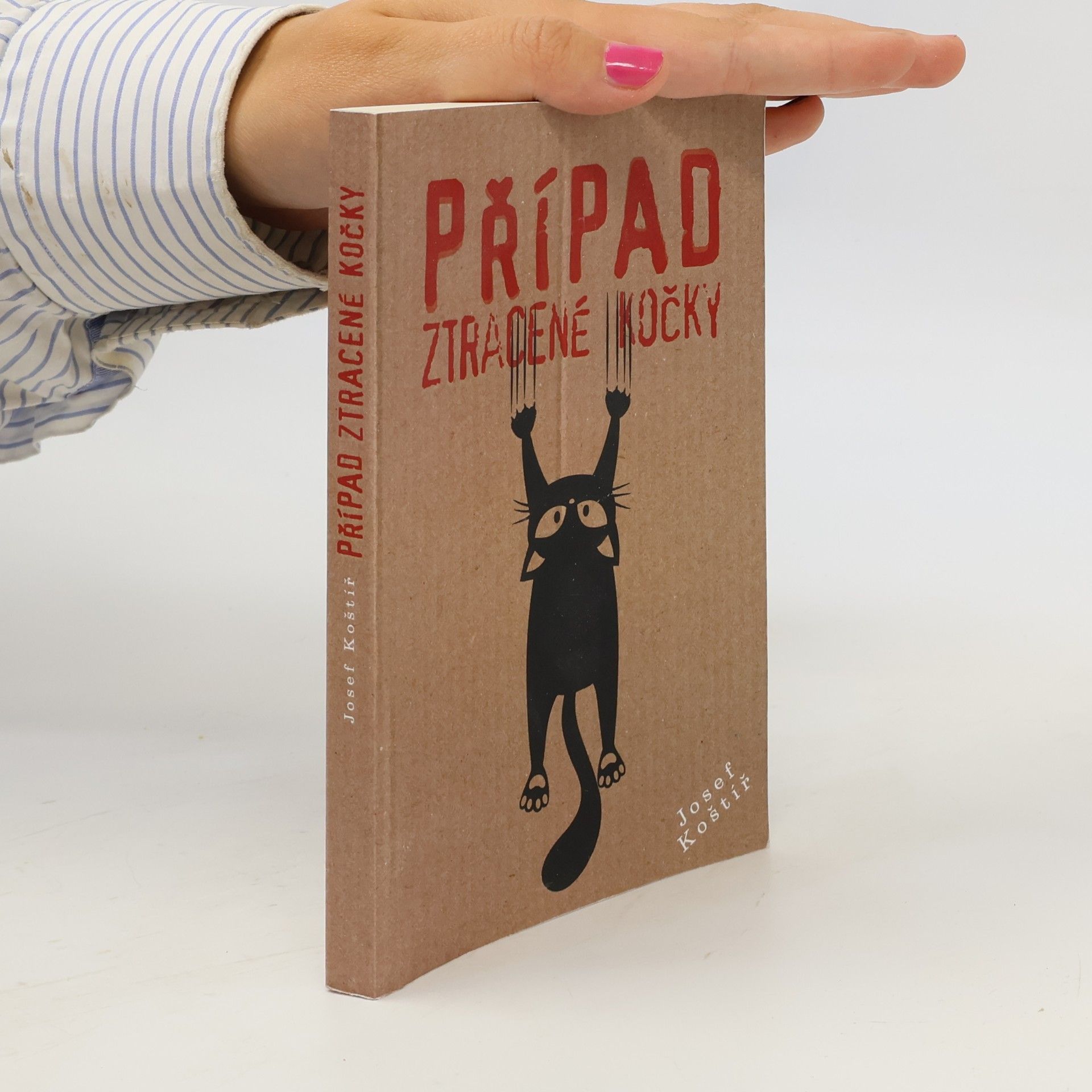 Případ ztracené kočky