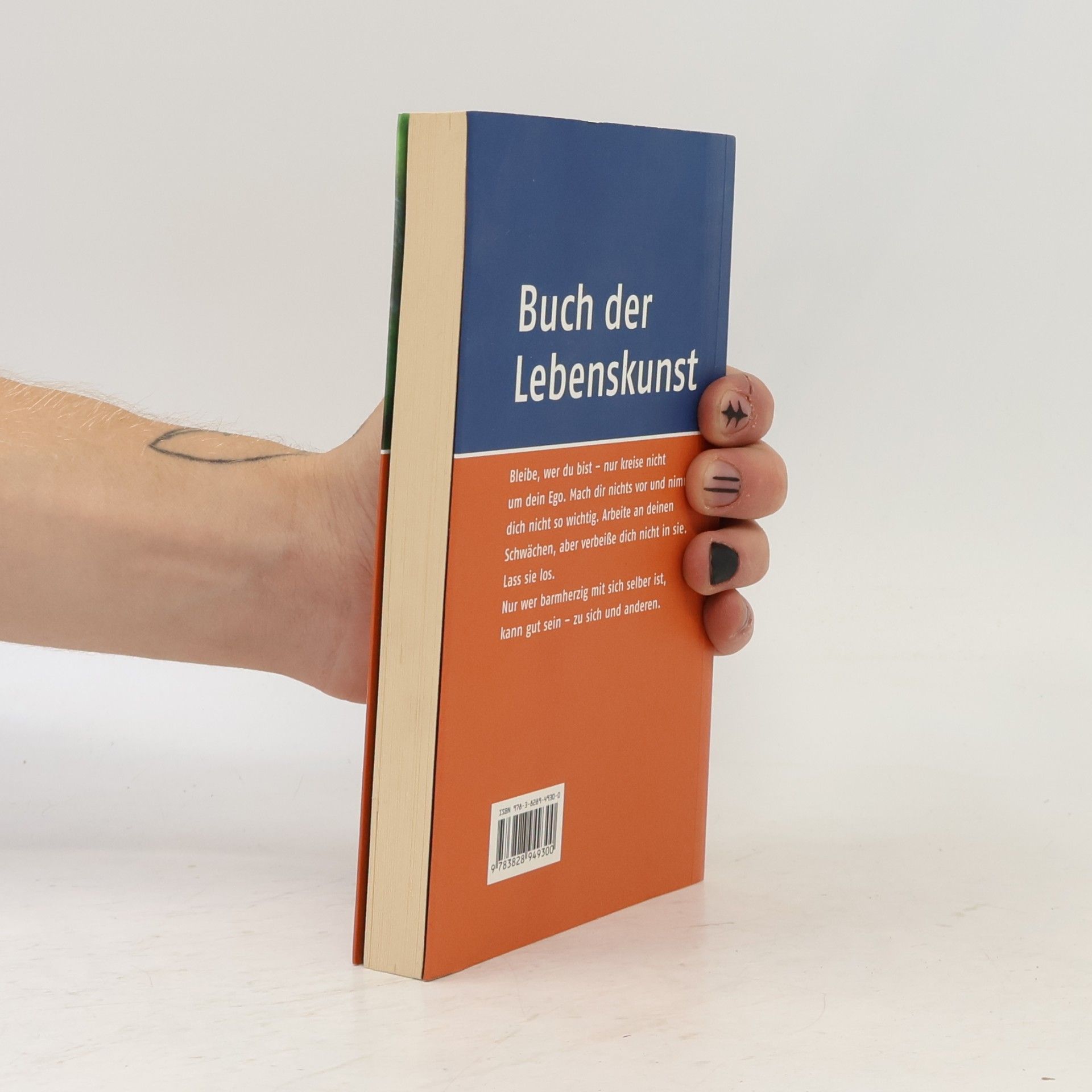 Anselm Grün Buch der Lebenskunst
