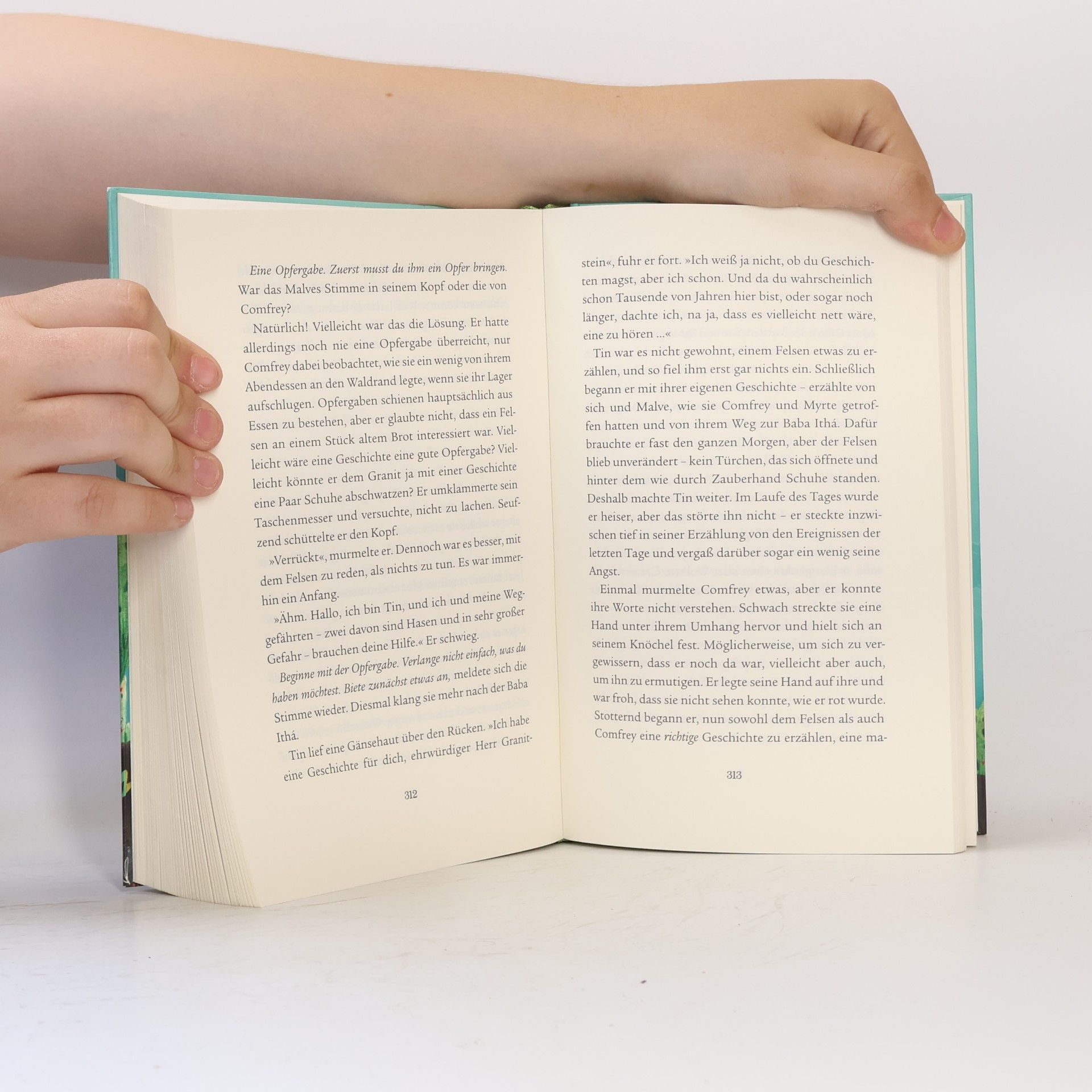 Sylvia V. Linsteadt Das Wilde Volk