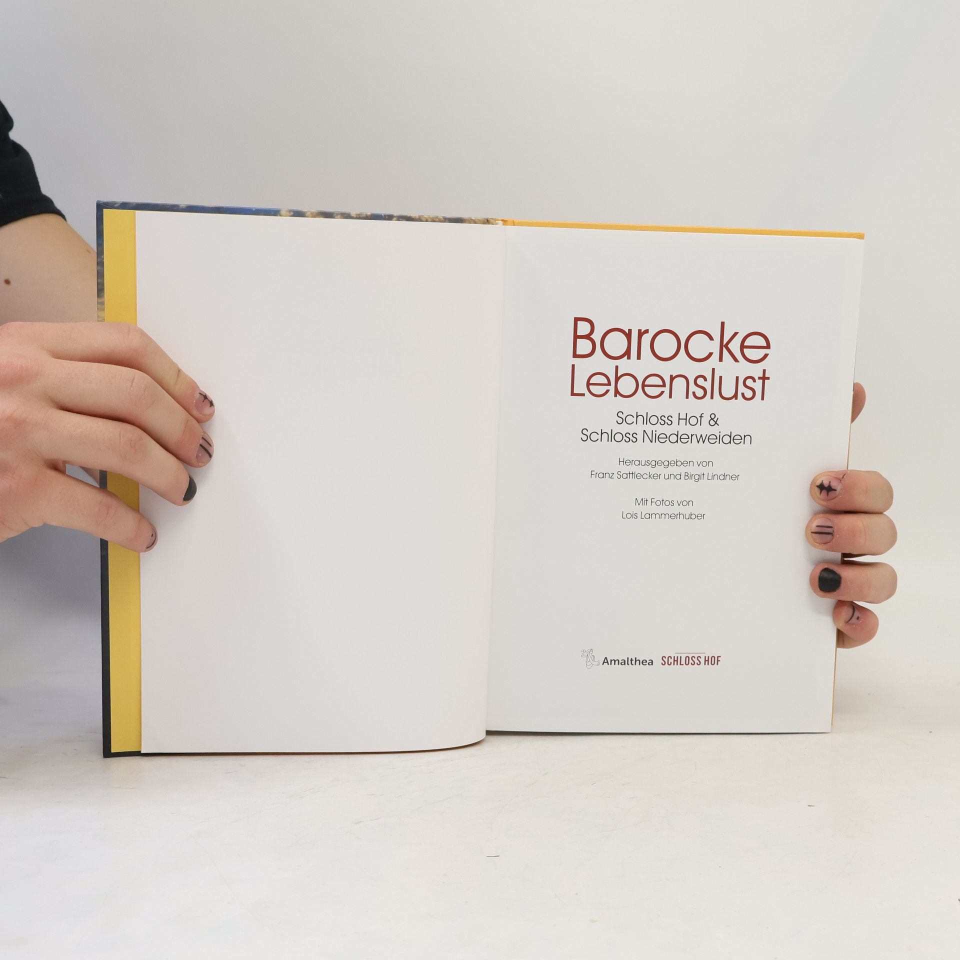 Franz Sattlecker Barocke Lebenslust