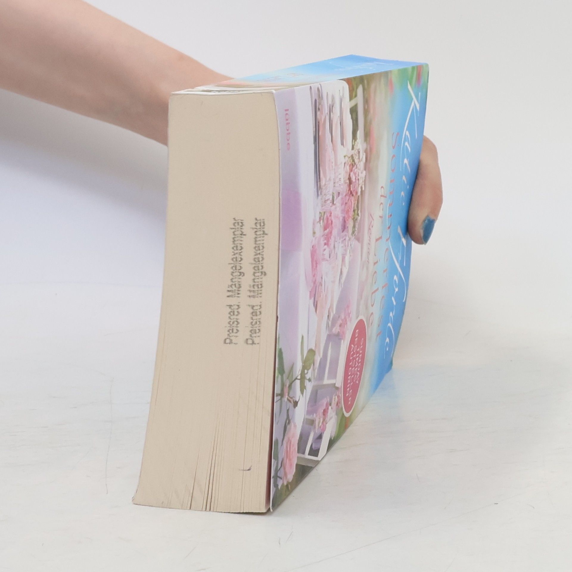 Katie Fforde Sommerfest der Liebe