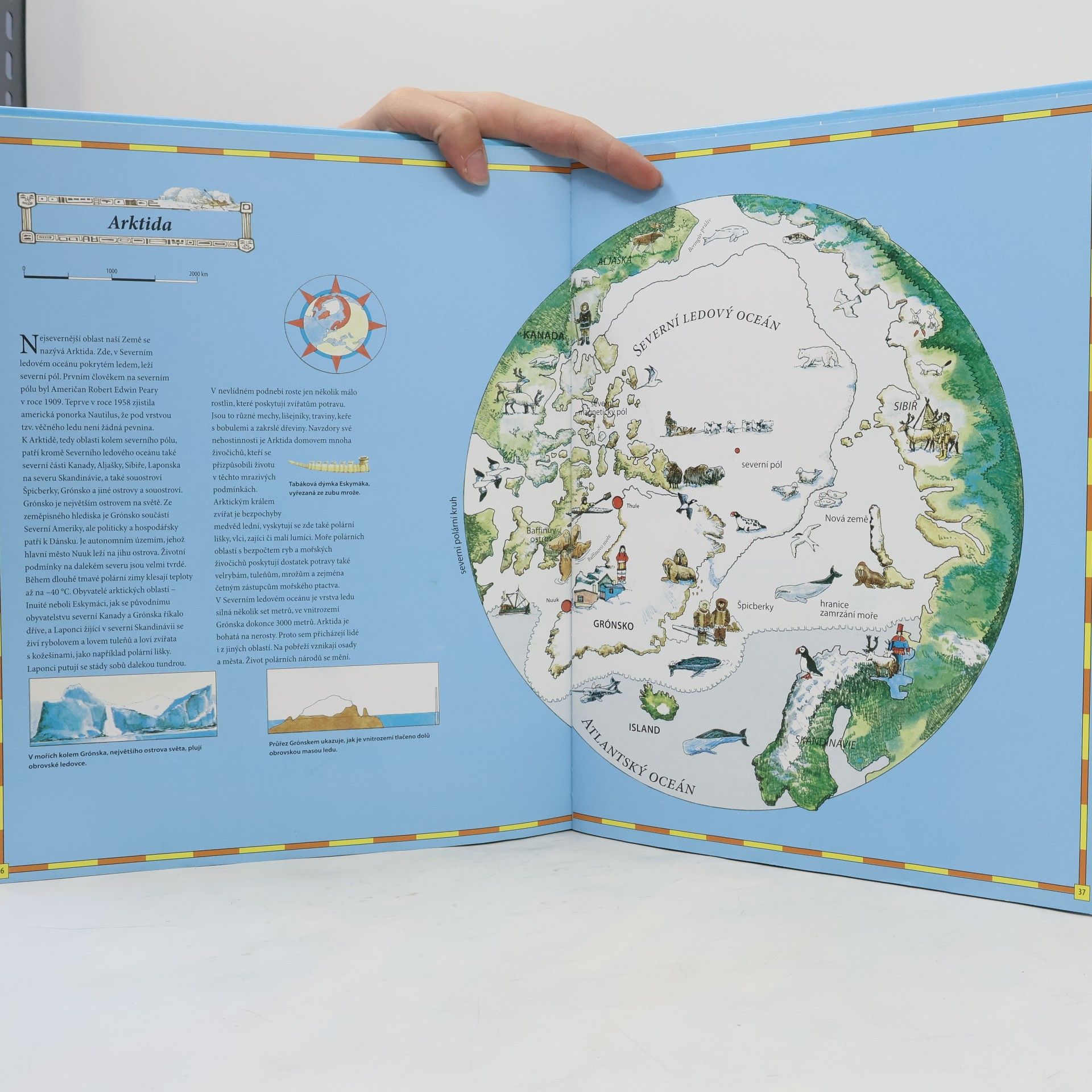Autorenkollektiv Velký dětský atlas světa