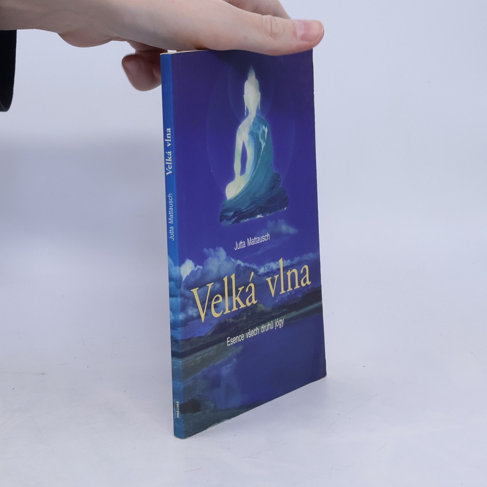 Jutta Mattausch Velká vlna. Esence všech druhů jógy