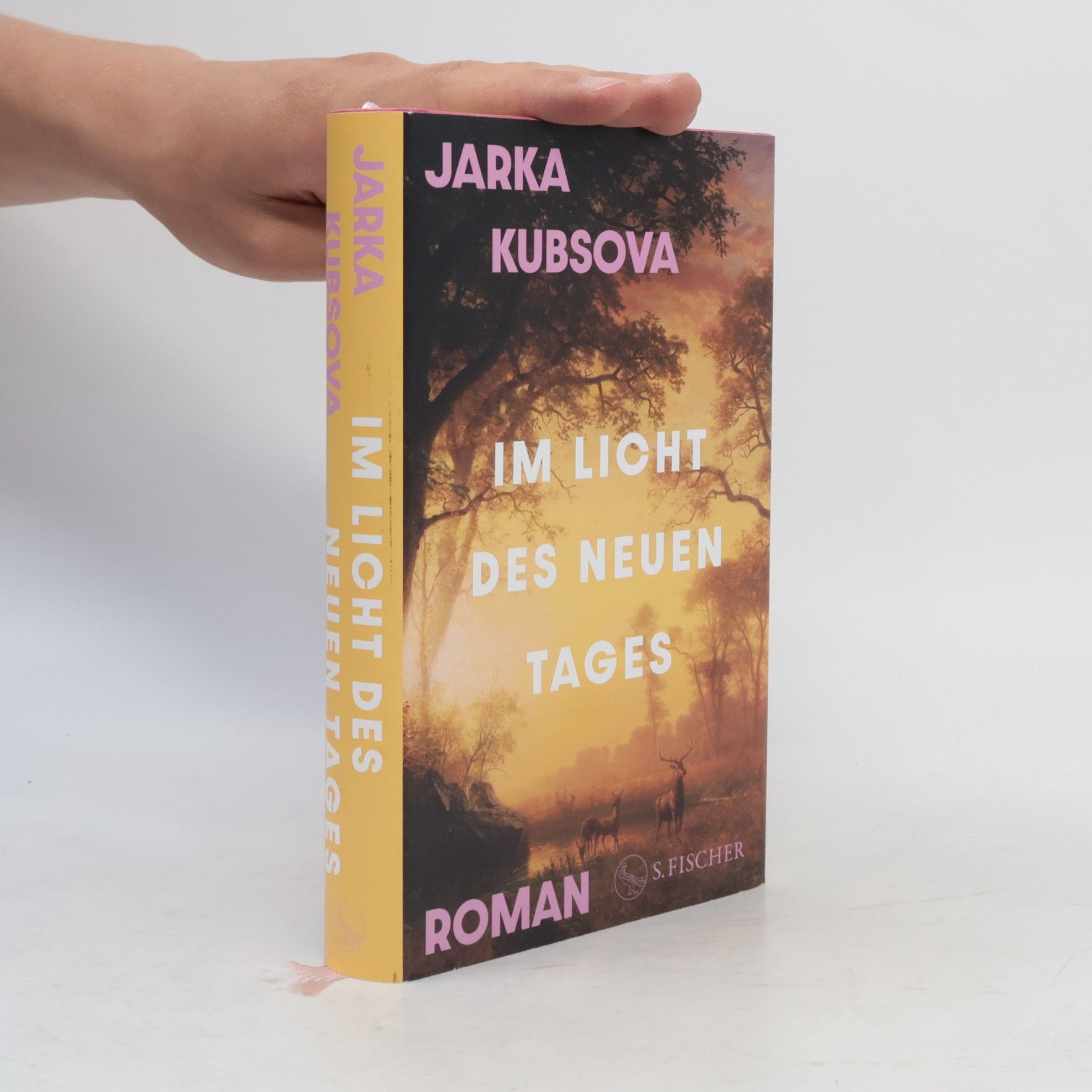 Jarka Kubsova Im Licht des neuen Tages