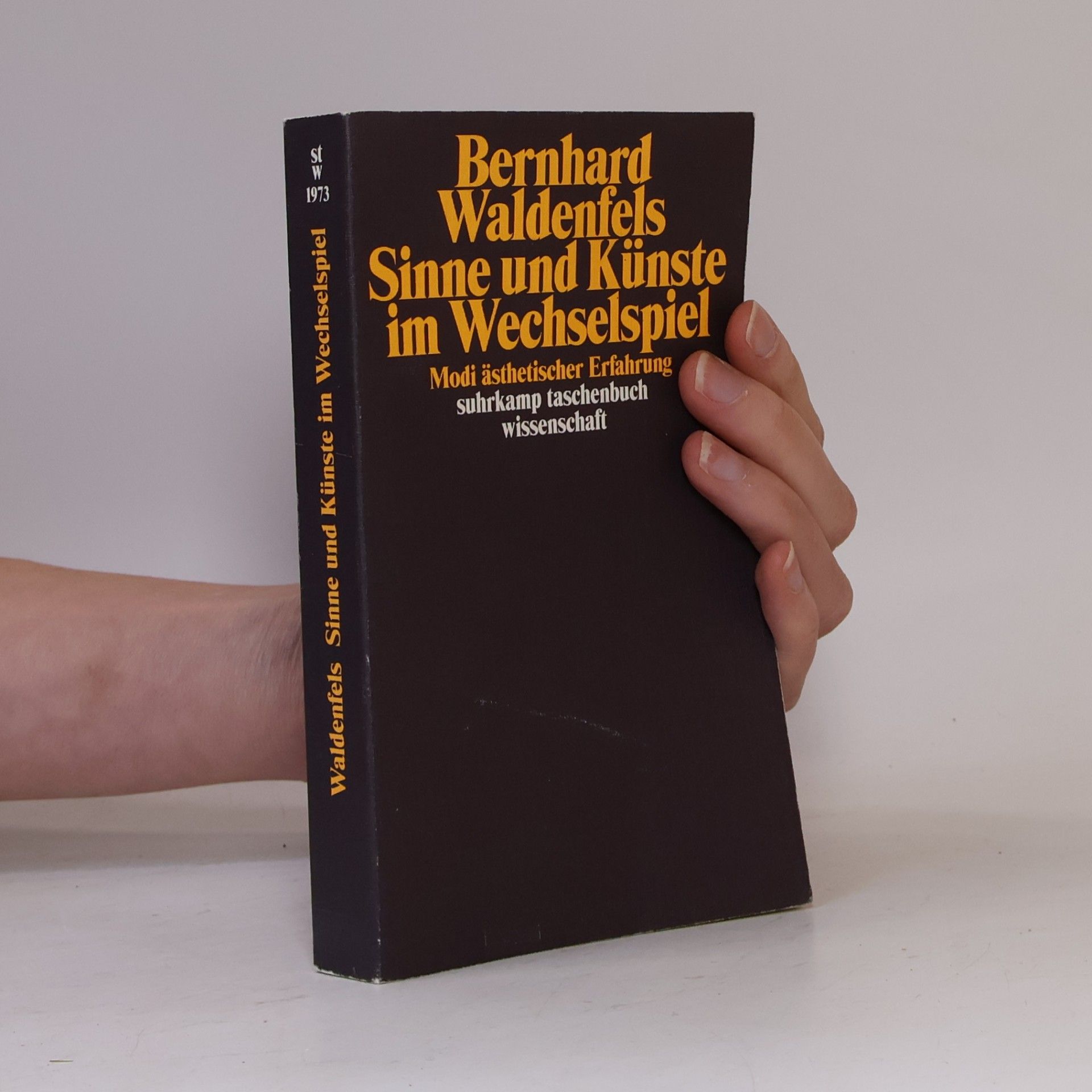 Bernhard Waldenfels Suhrkamp Taschenbuch Wissenschaft: Sinne und Künste im Wechselspiel