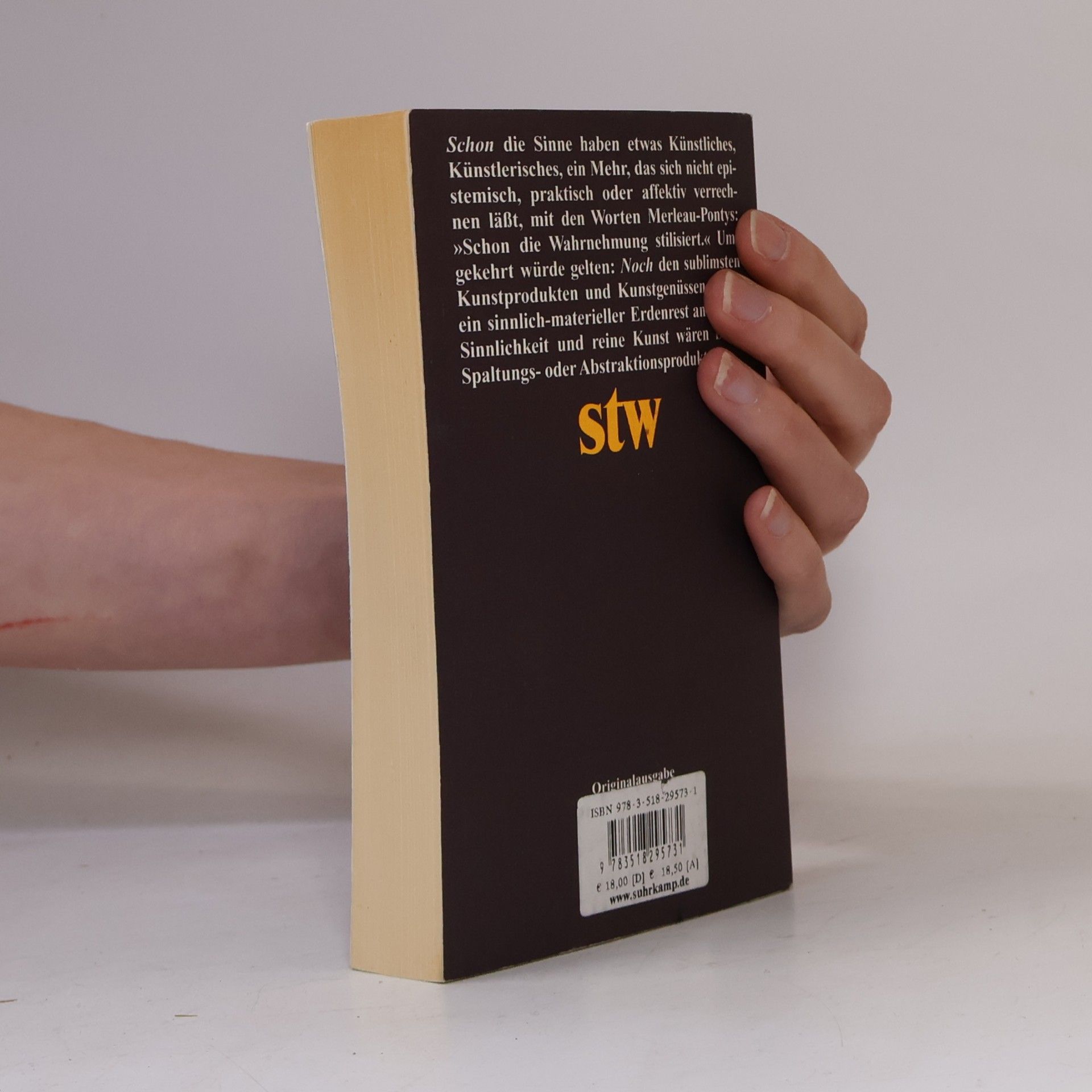 Bernhard Waldenfels Suhrkamp Taschenbuch Wissenschaft: Sinne und Künste im Wechselspiel