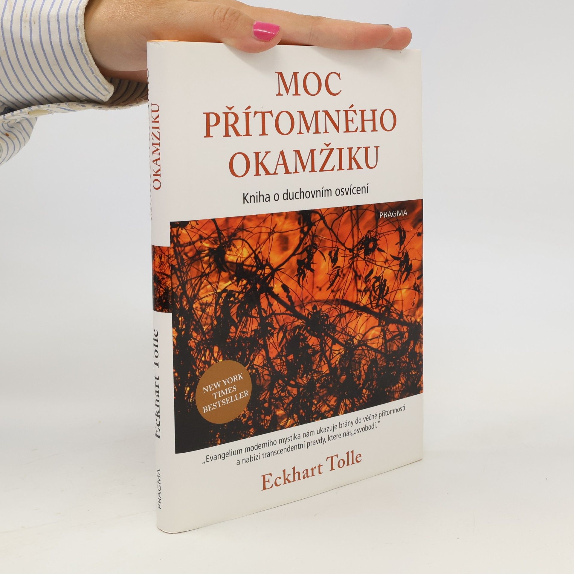 Eckhart Tolle Moc přítomného okamžiku
