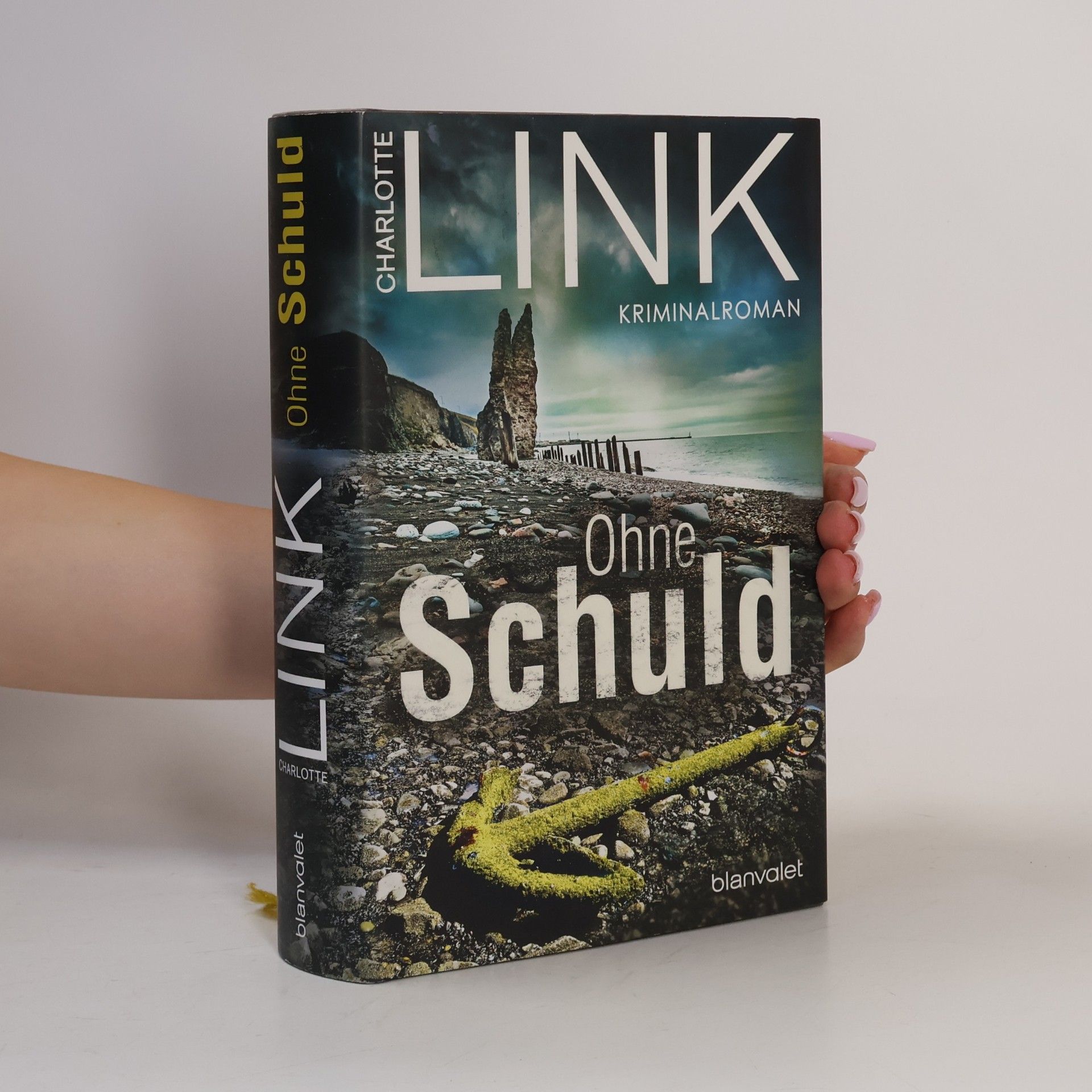 Charlotte Link Ohne Schuld