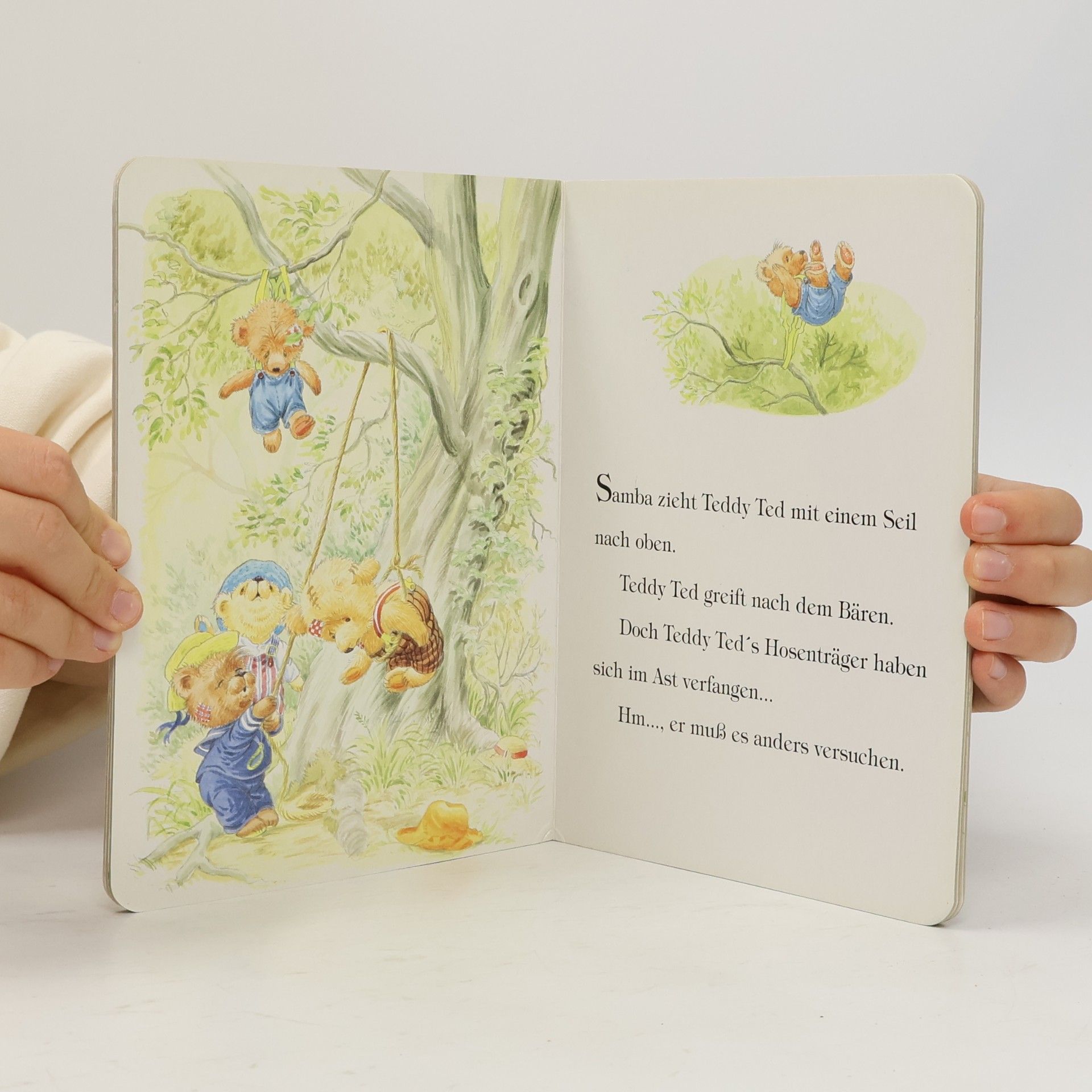 Autorenkollektiv Die Teddybären und die tollkühne Rettung