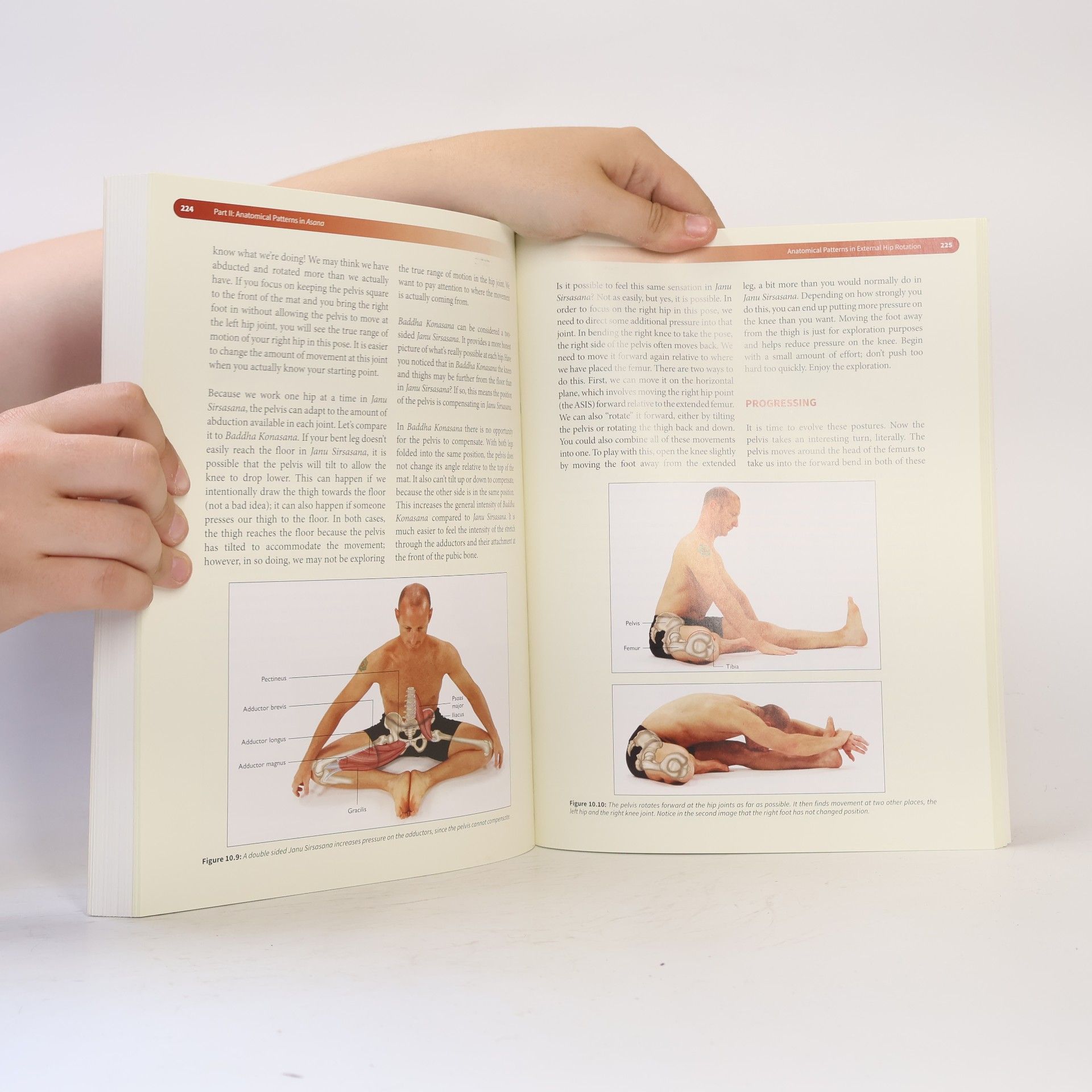 David Keil Functional Anatomy of Yoga