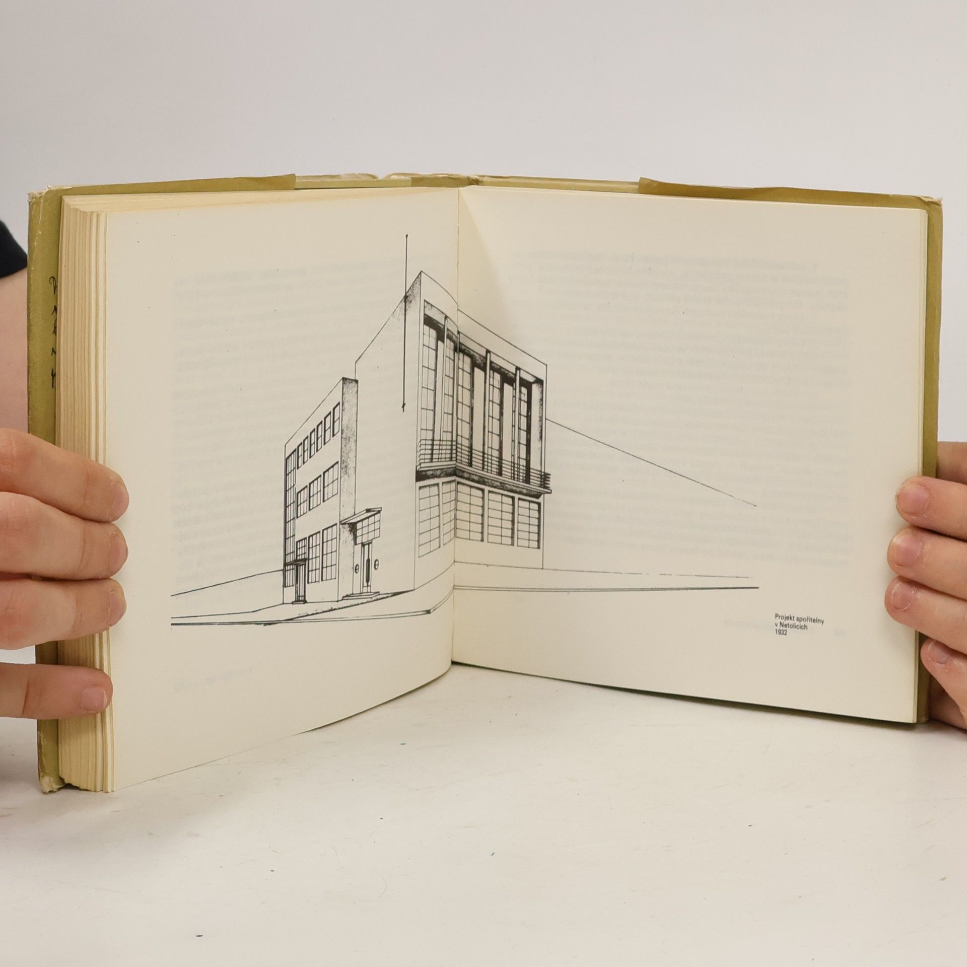 Vít Obrtel Vlaštovka, která má geometrické hnízdo
