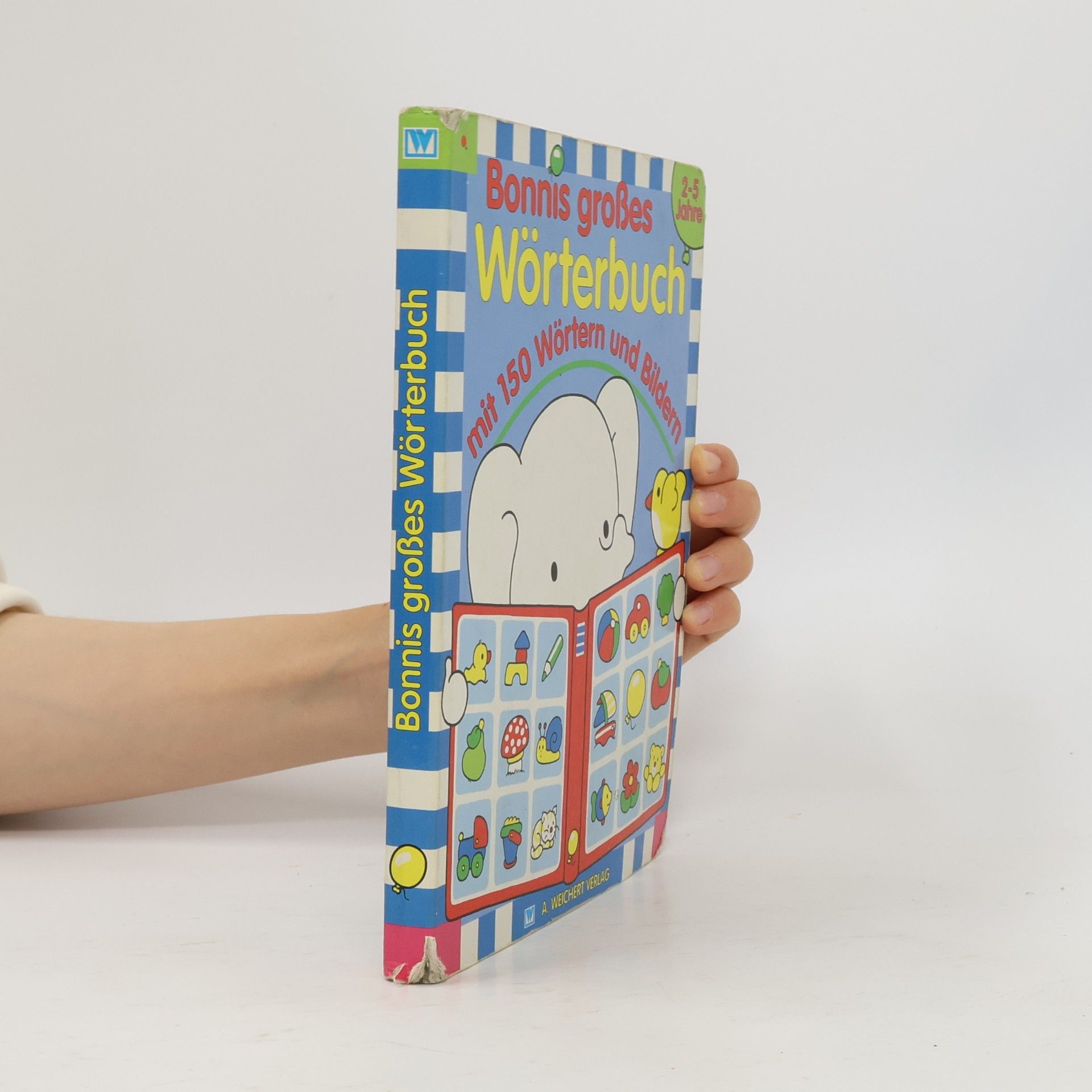 Kolektiv autorů Bonnis großes Wörterbuch