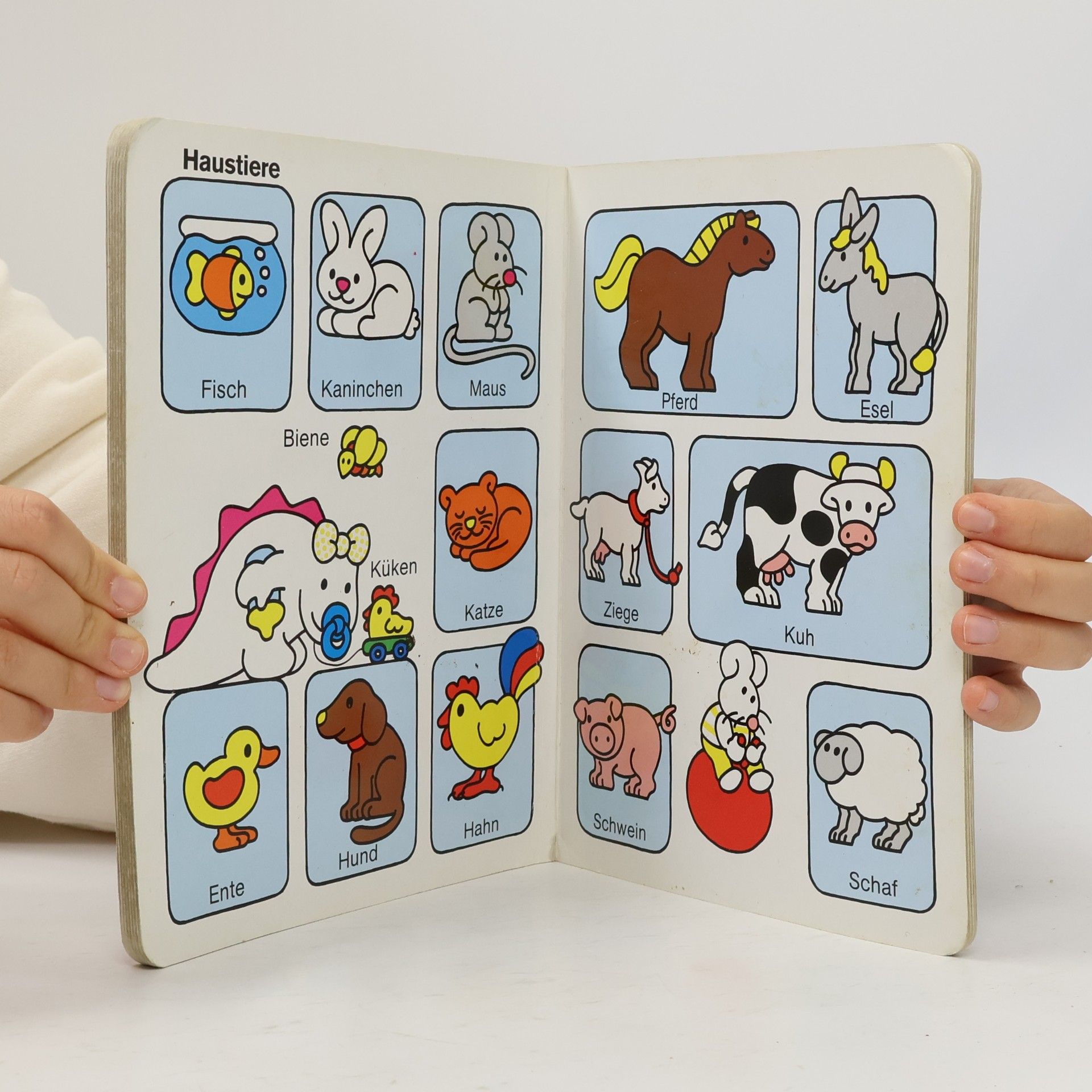 Bonnis großes Wörterbuch